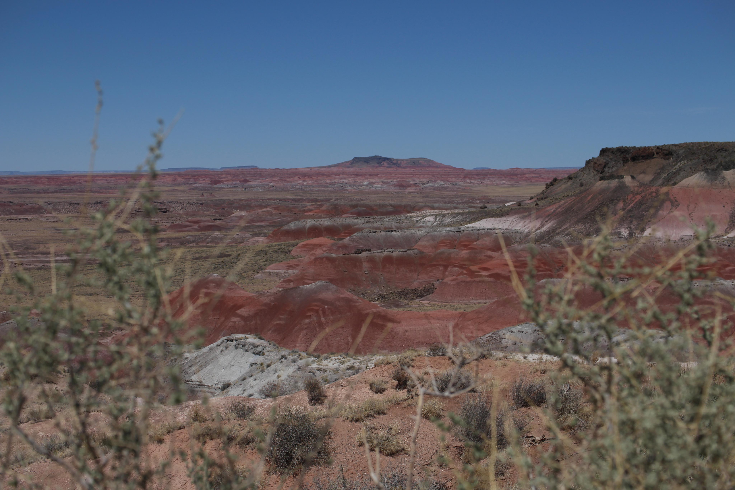 Нью Мексико. Olga Serebryannaya Travel Photography