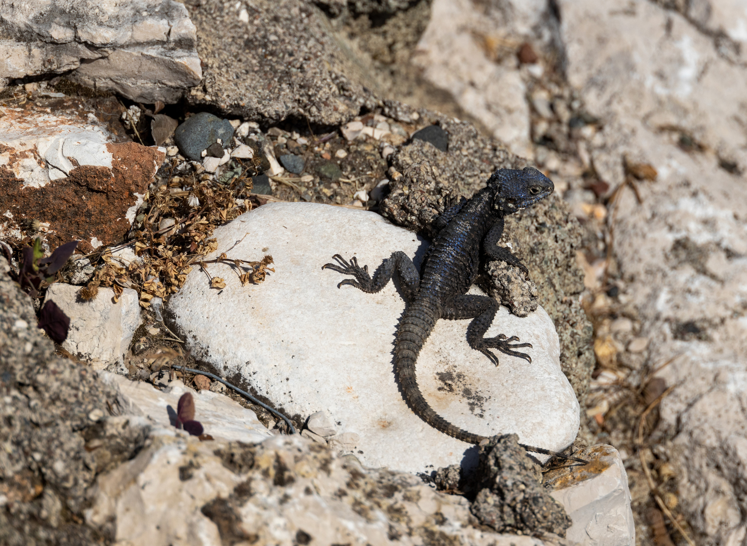 Турция. Olga Serebryannaya Travel Photography