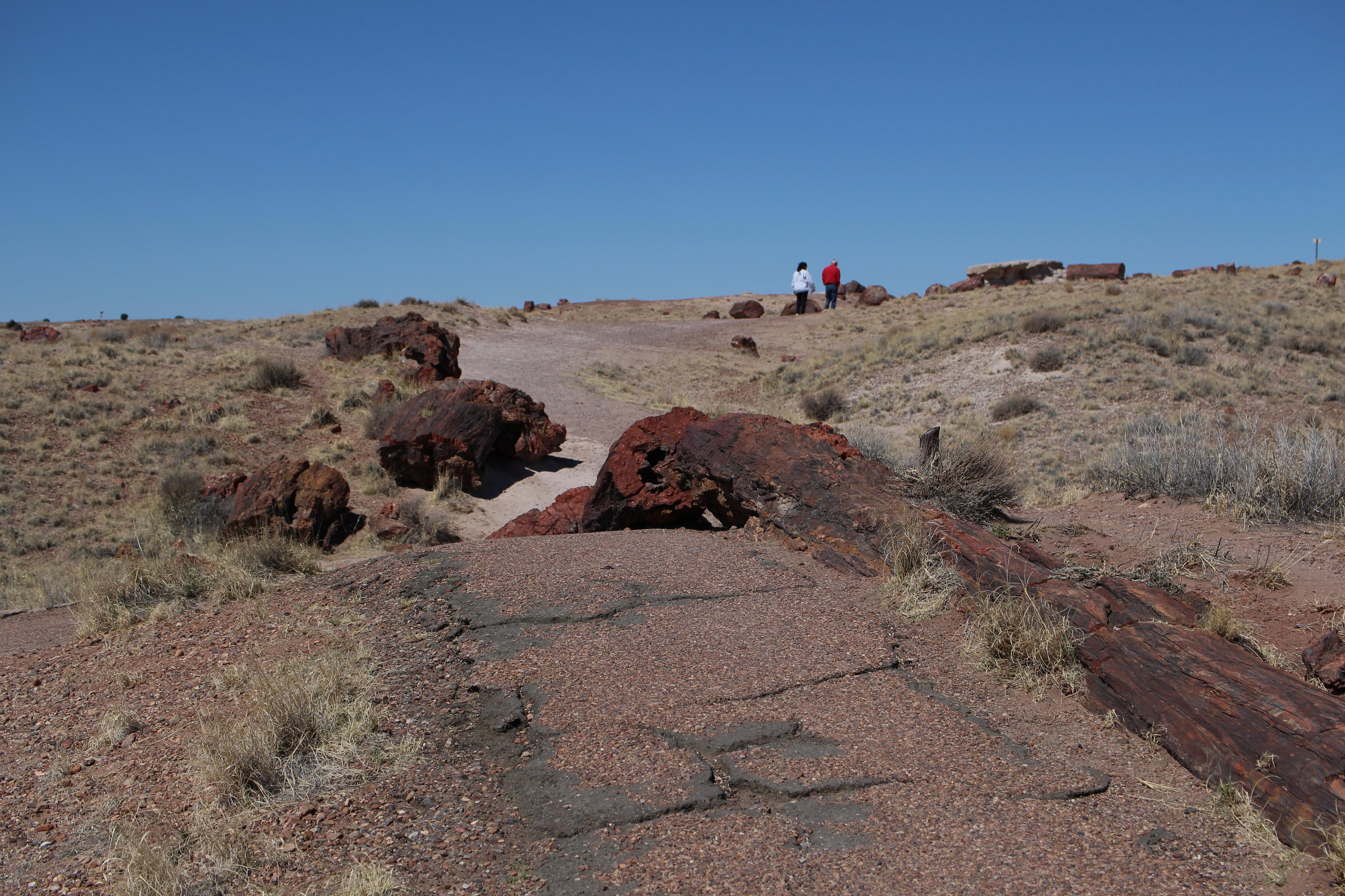 Нью Мексико. Olga Serebryannaya Travel Photography