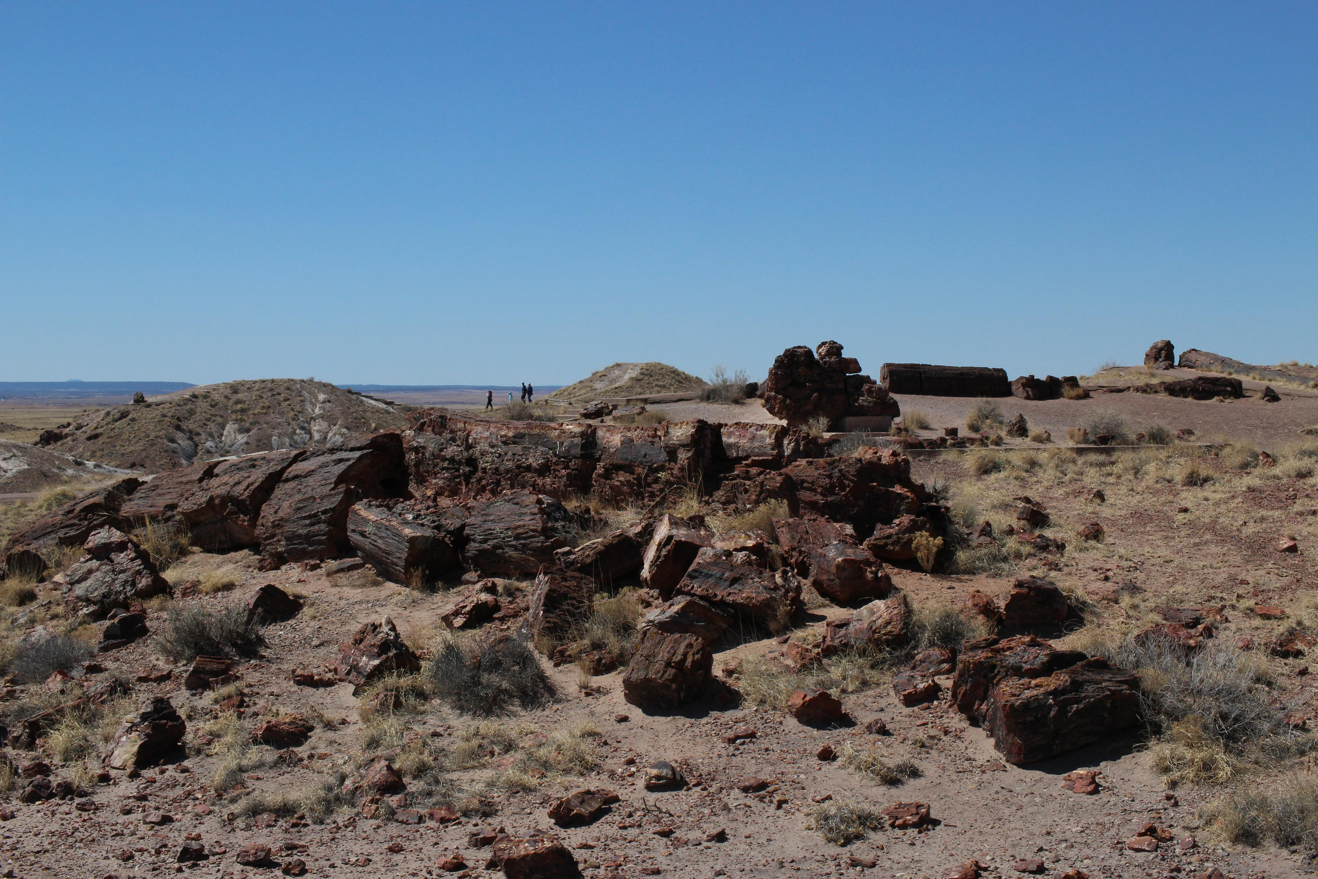 Нью Мексико. Olga Serebryannaya Travel Photography
