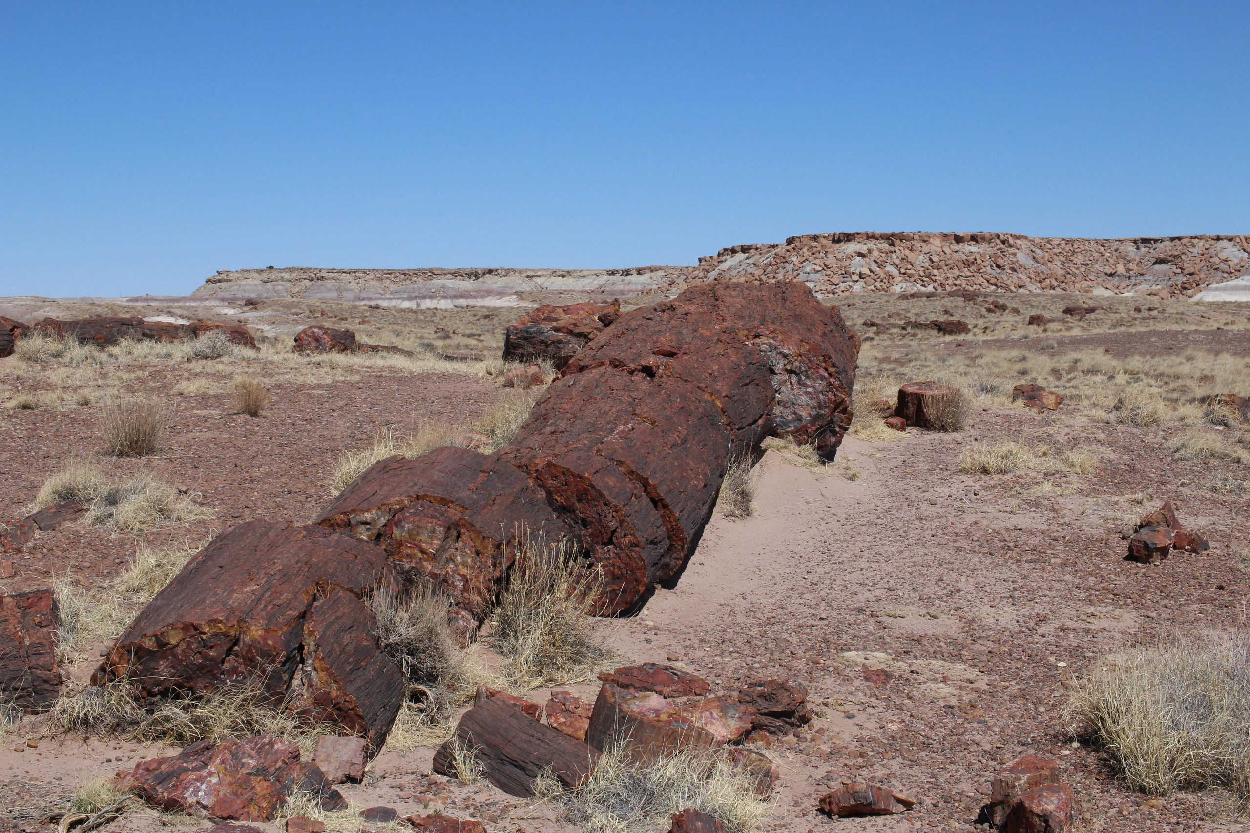 Нью Мексико. Olga Serebryannaya Travel Photography