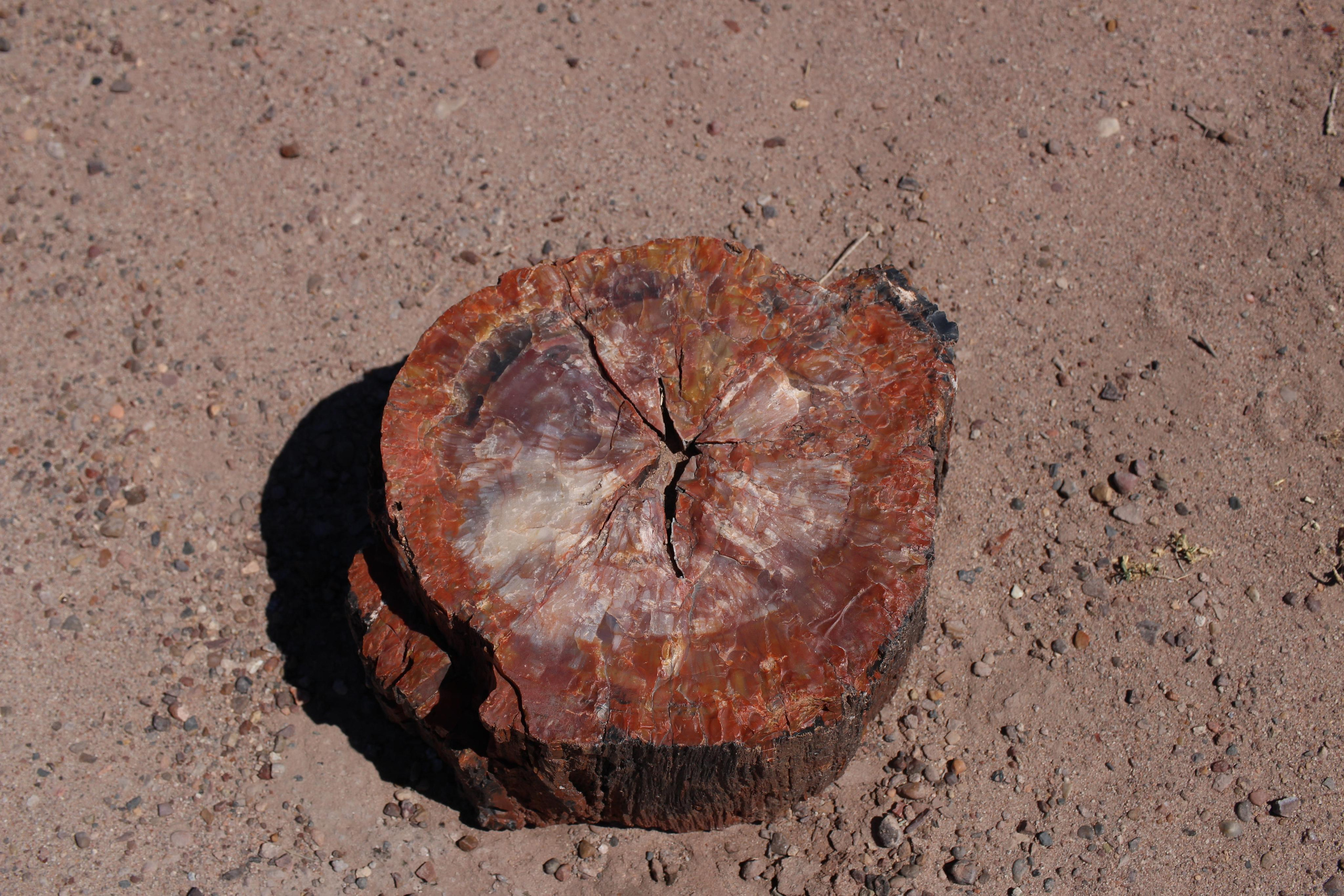 Нью Мексико. Olga Serebryannaya Travel Photography