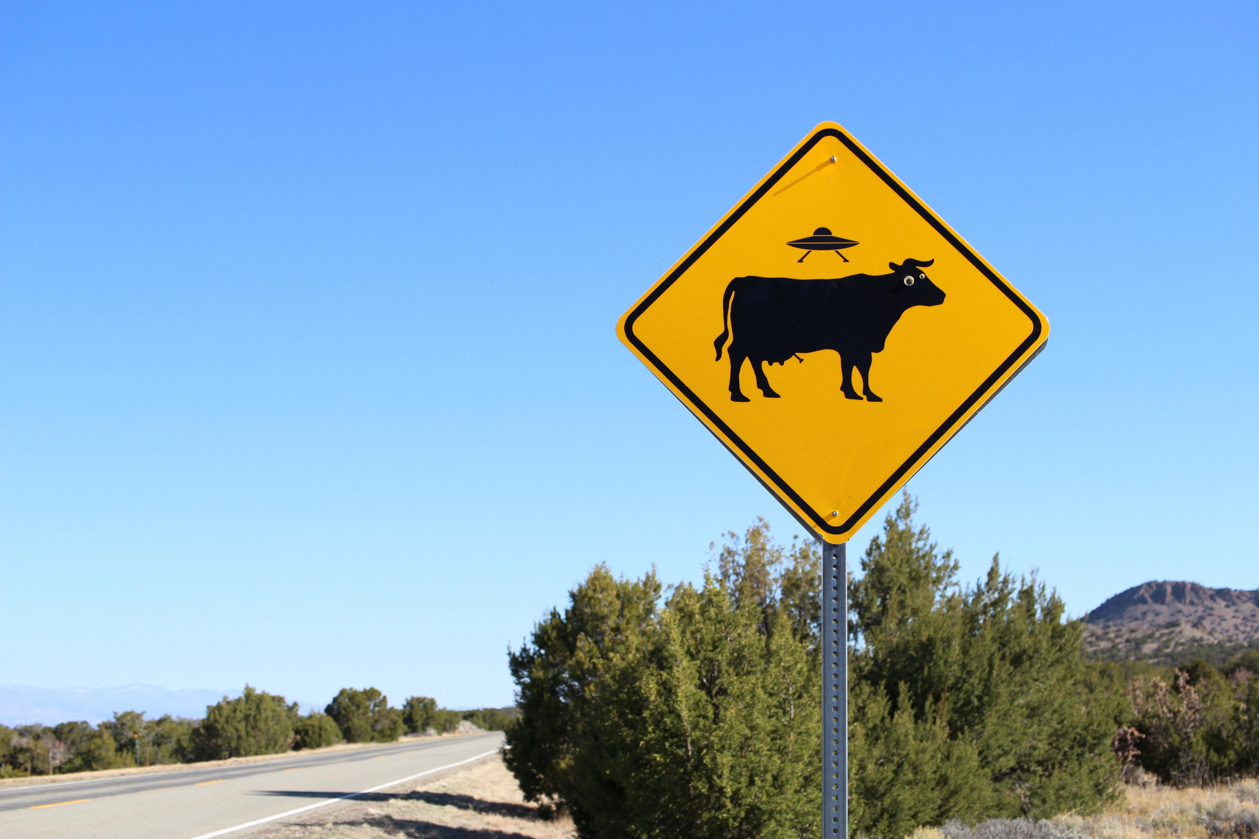 Нью Мексико. Olga Serebryannaya Travel Photography