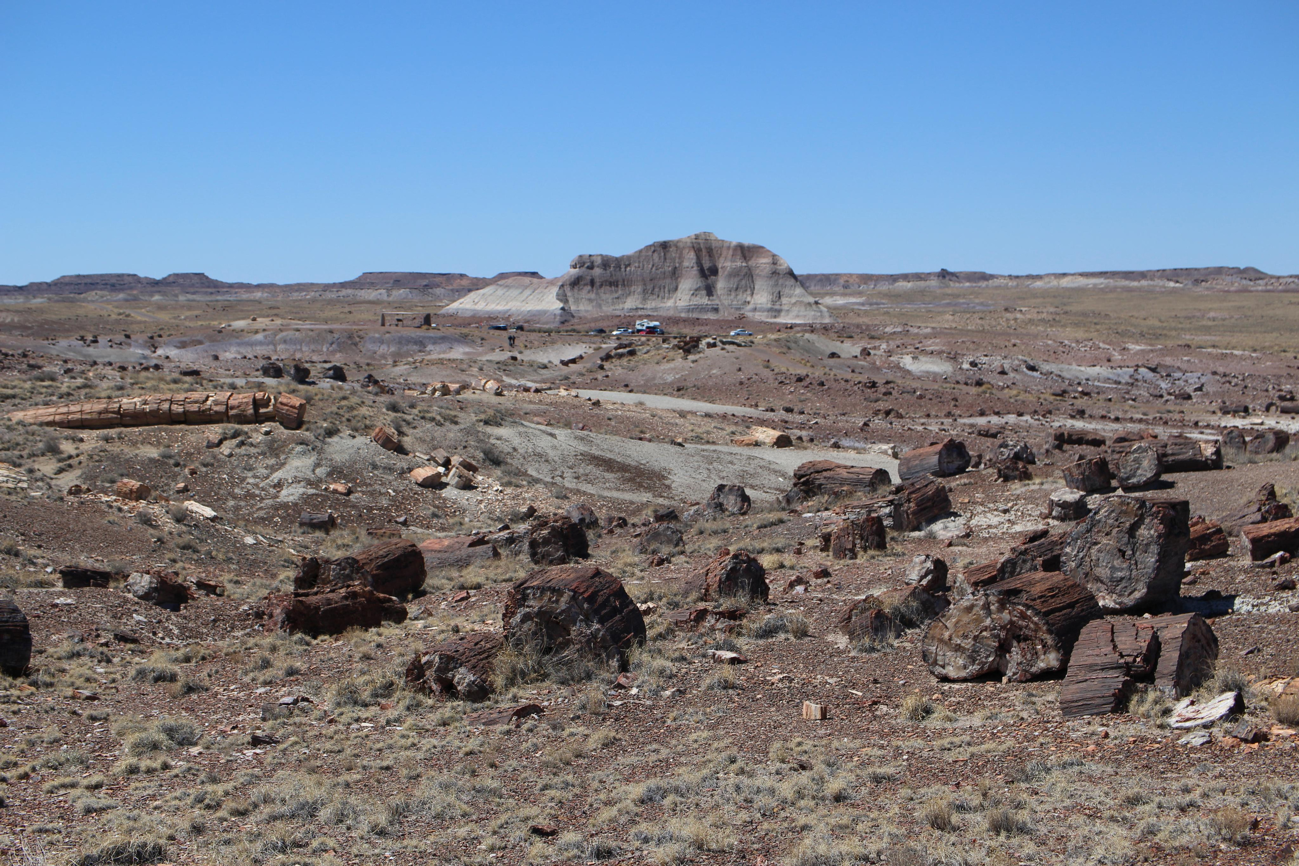 Нью Мексико. Olga Serebryannaya Travel Photography