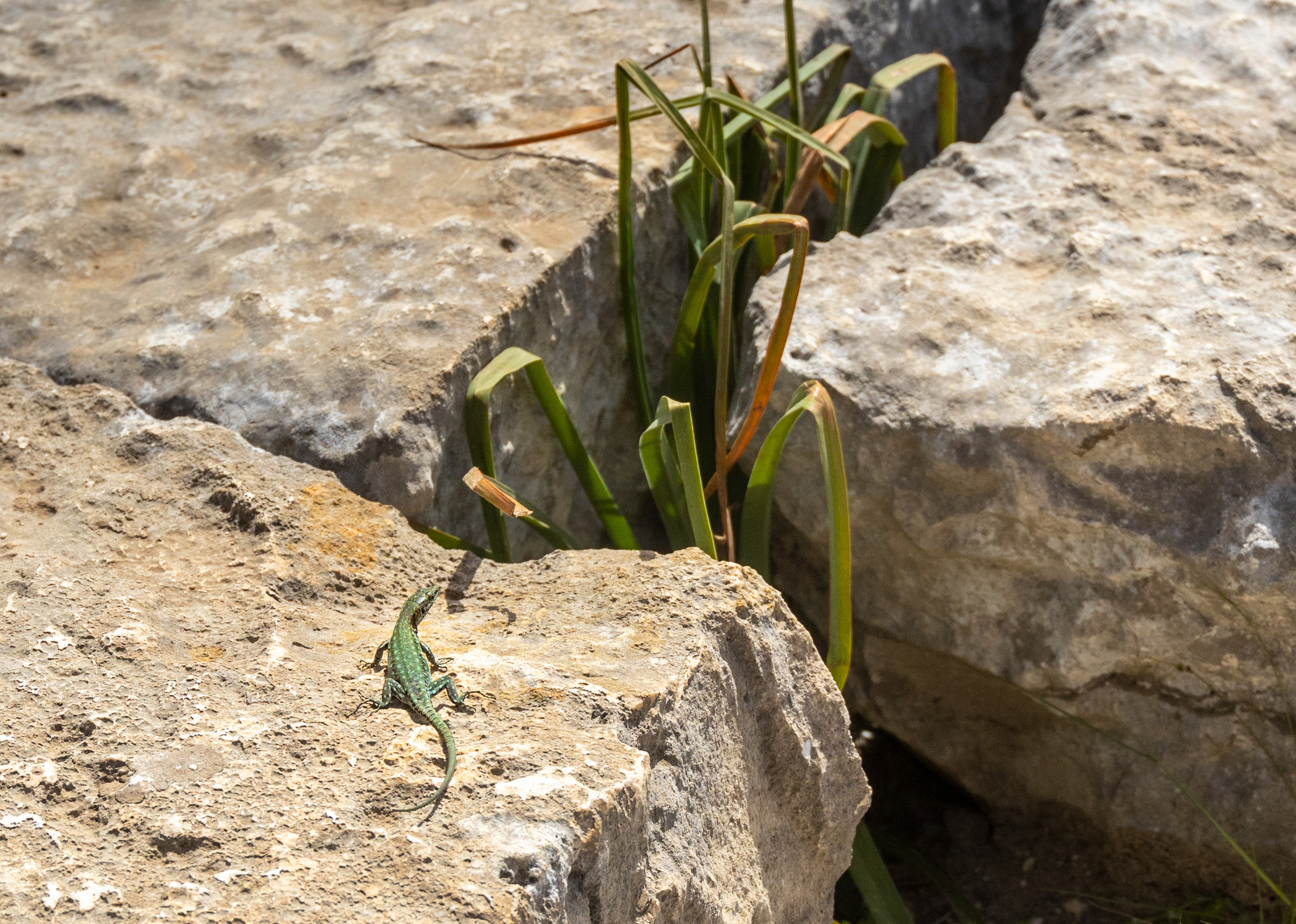 Турция. Olga Serebryannaya Travel Photography