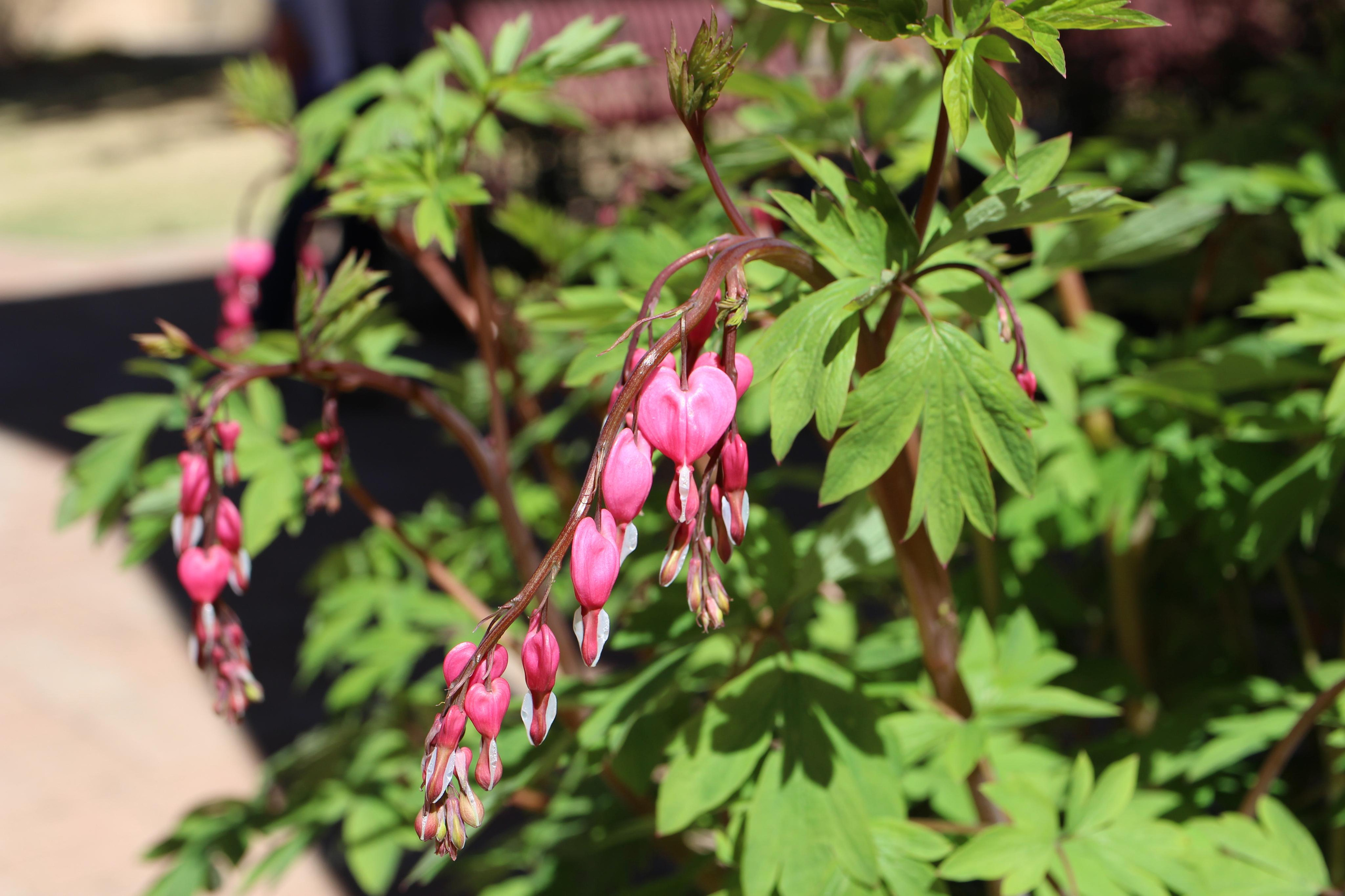 Нью Мексико. Olga Serebryannaya Travel Photography