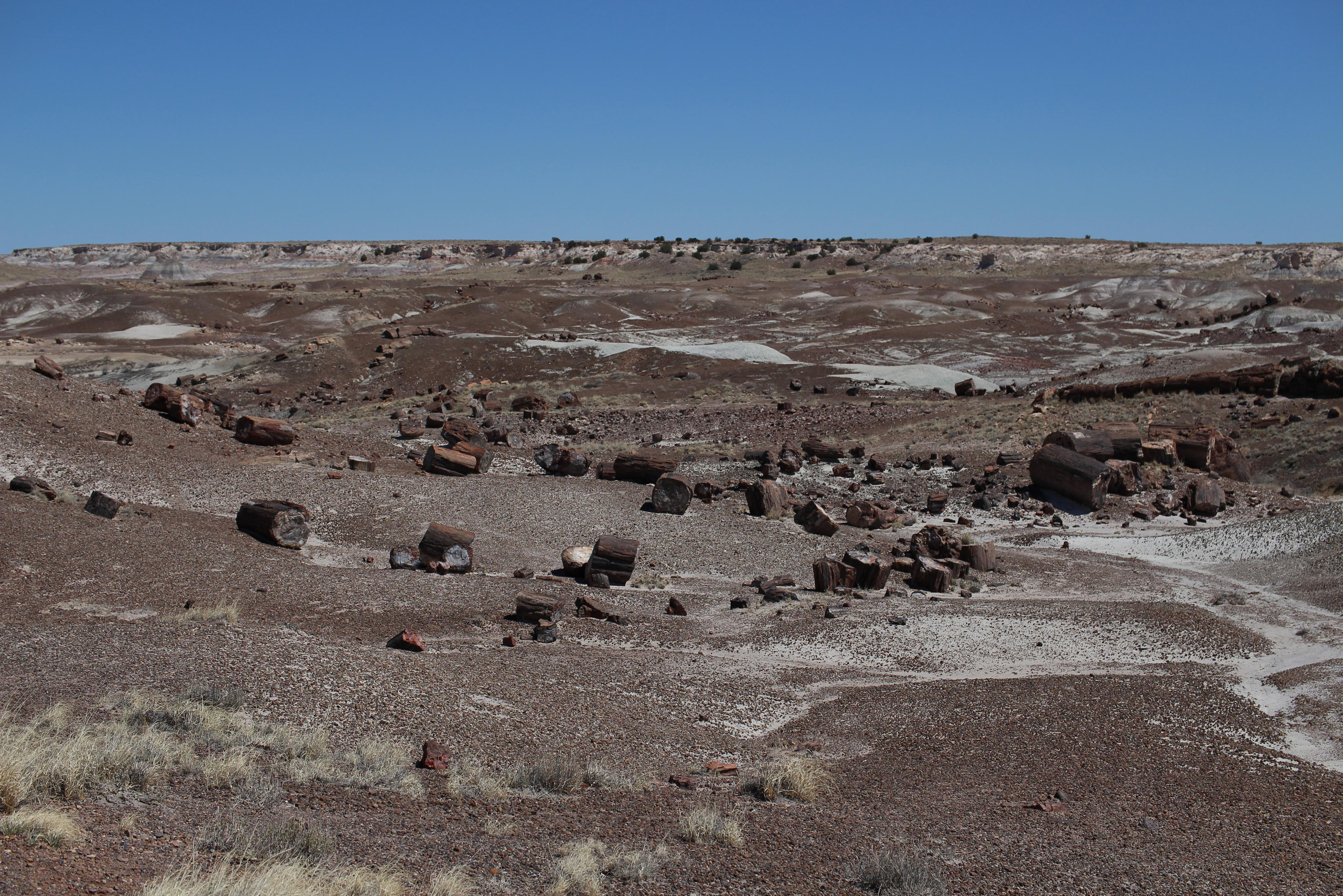Нью Мексико. Olga Serebryannaya Travel Photography