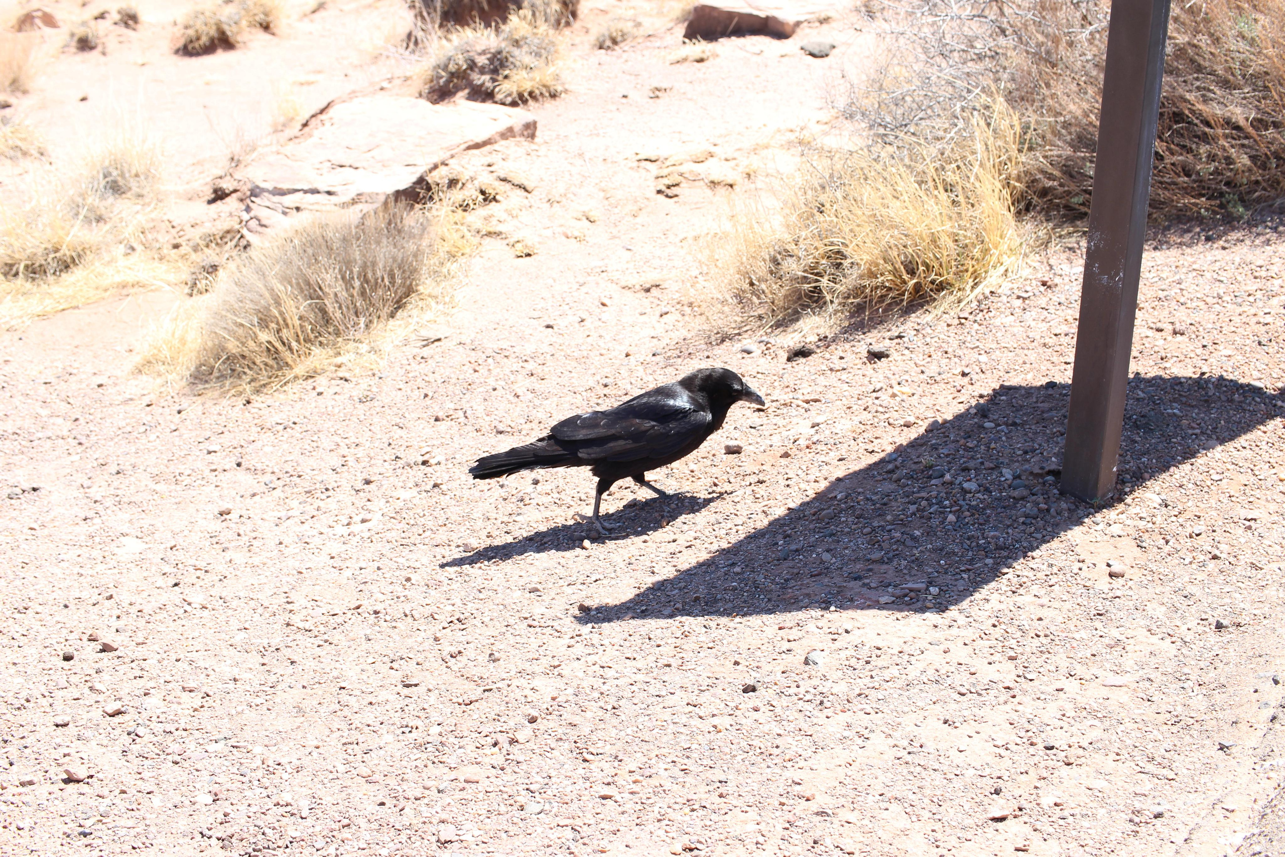 Нью Мексико. Olga Serebryannaya Travel Photography