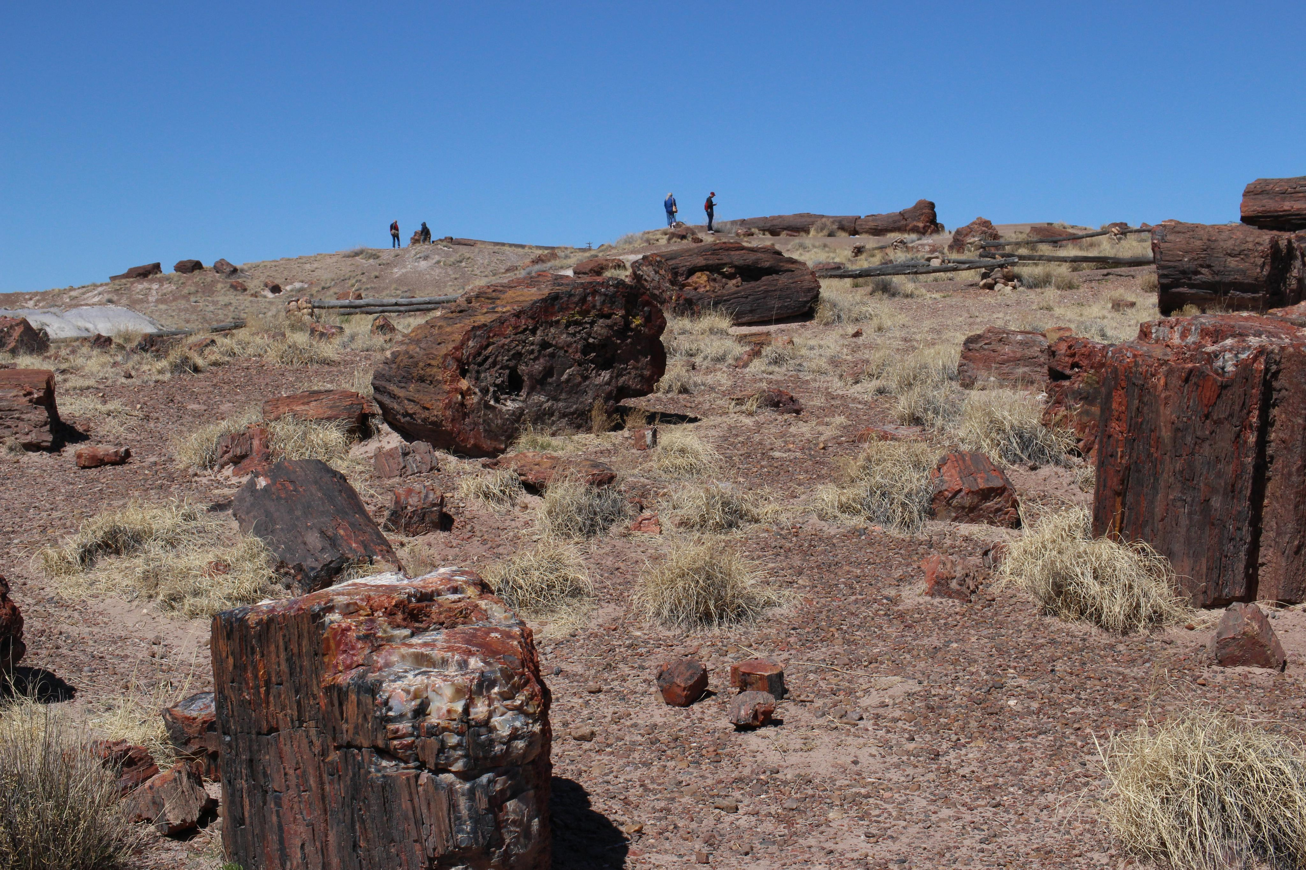 Нью Мексико. Olga Serebryannaya Travel Photography