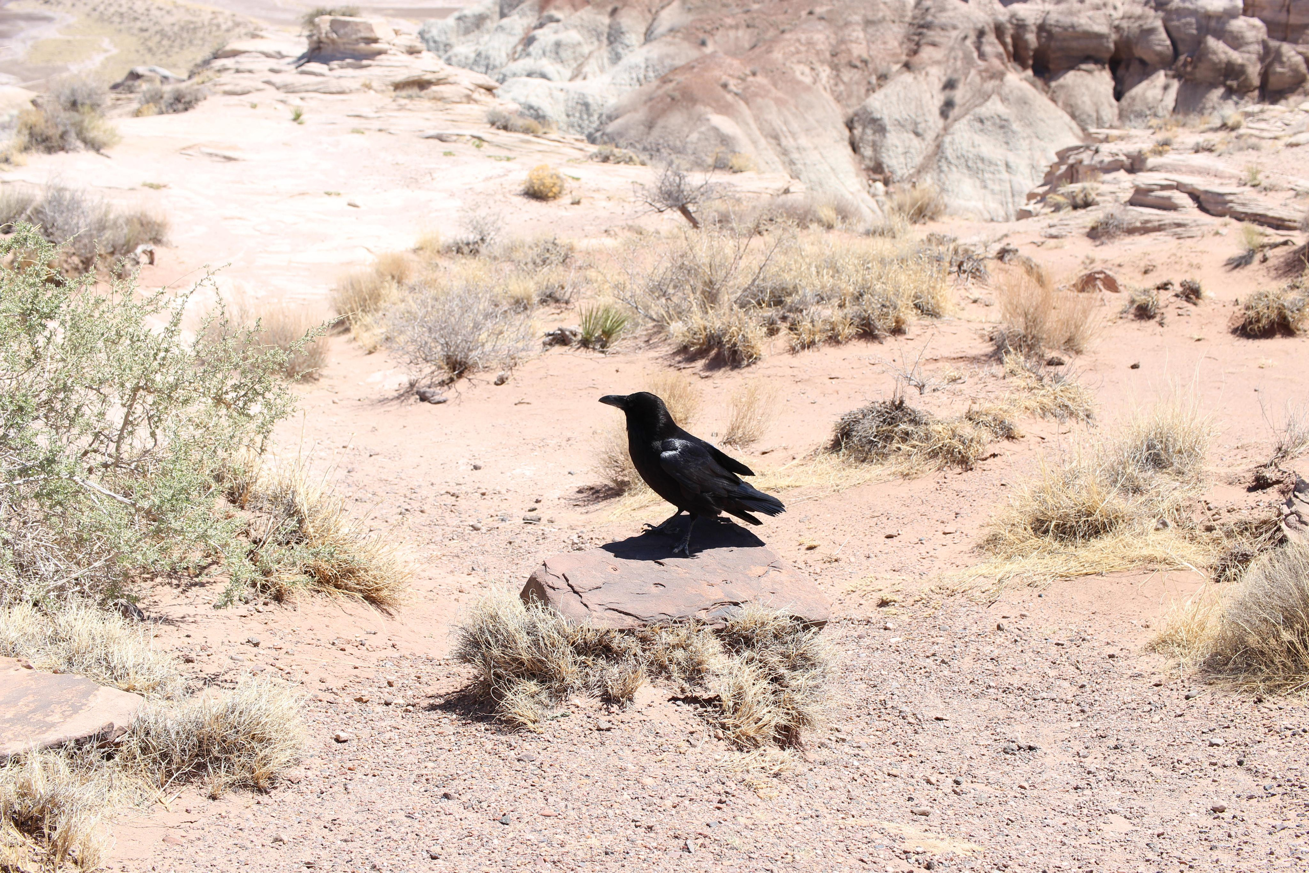 Нью Мексико. Olga Serebryannaya Travel Photography