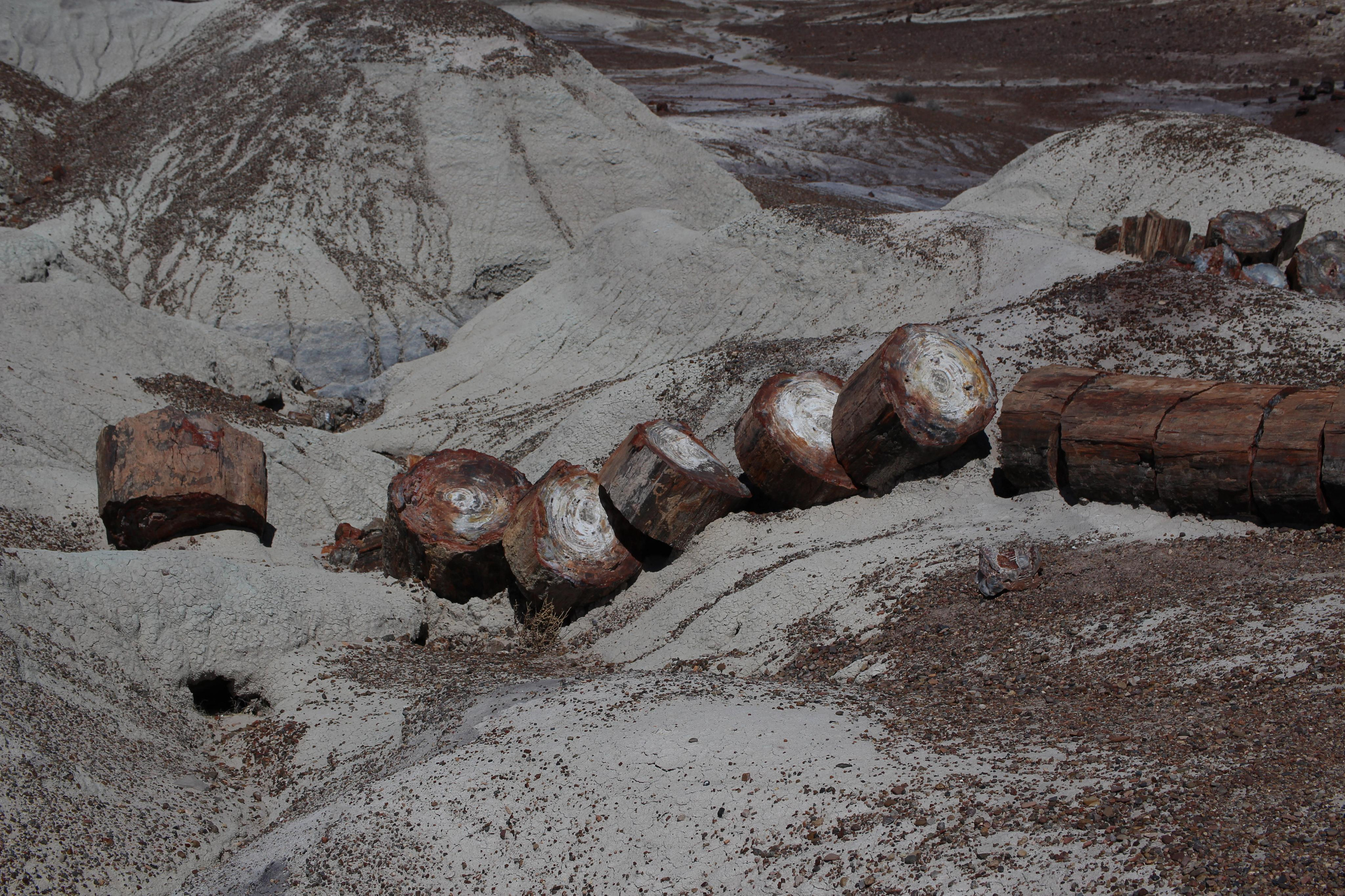 Нью Мексико. Olga Serebryannaya Travel Photography