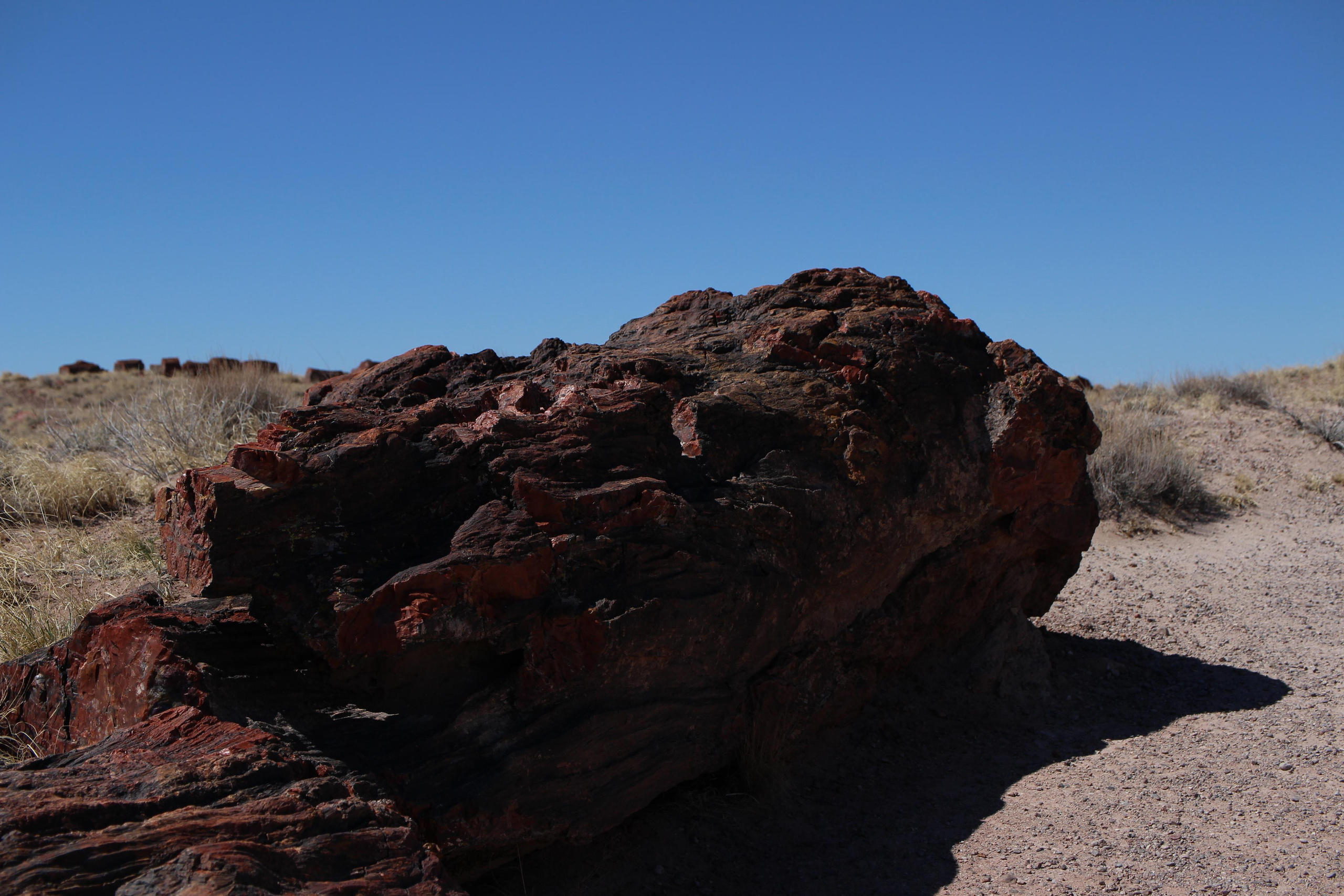 Нью Мексико. Olga Serebryannaya Travel Photography