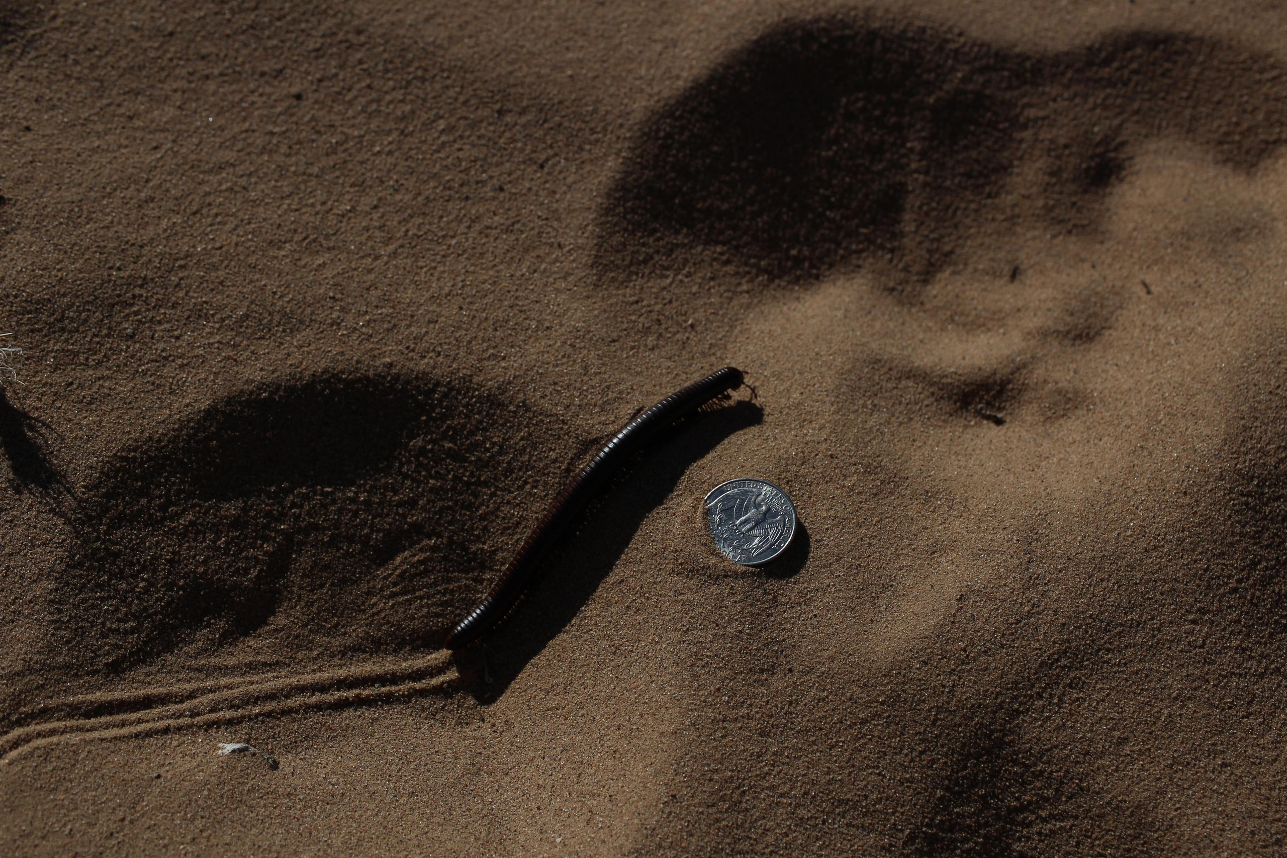 Нью Мексико. Olga Serebryannaya Travel Photography