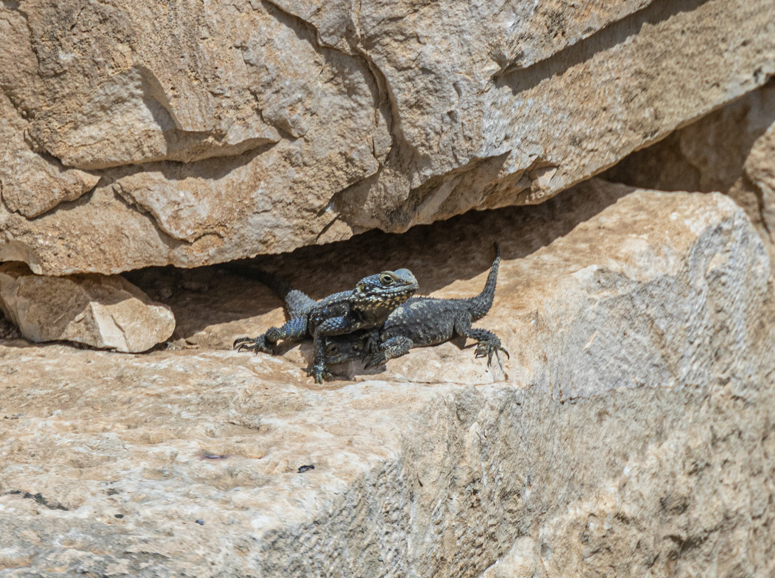 Турция. Olga Serebryannaya Travel Photography