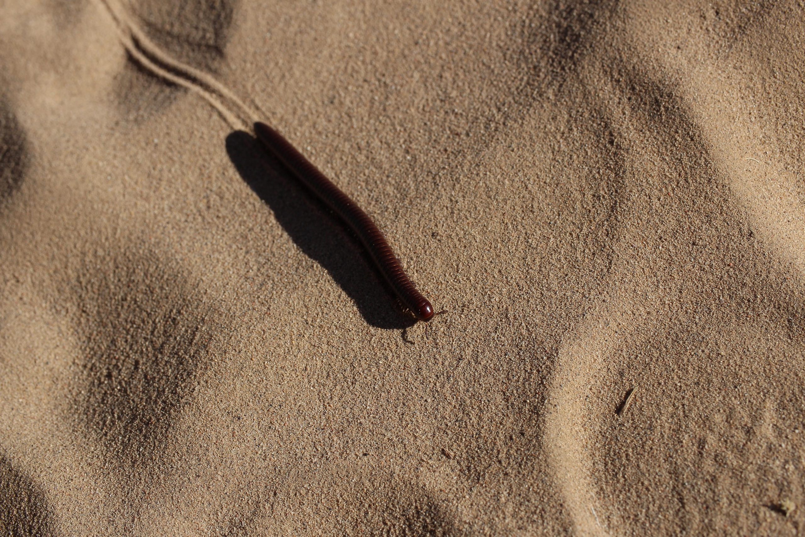 Нью Мексико. Olga Serebryannaya Travel Photography