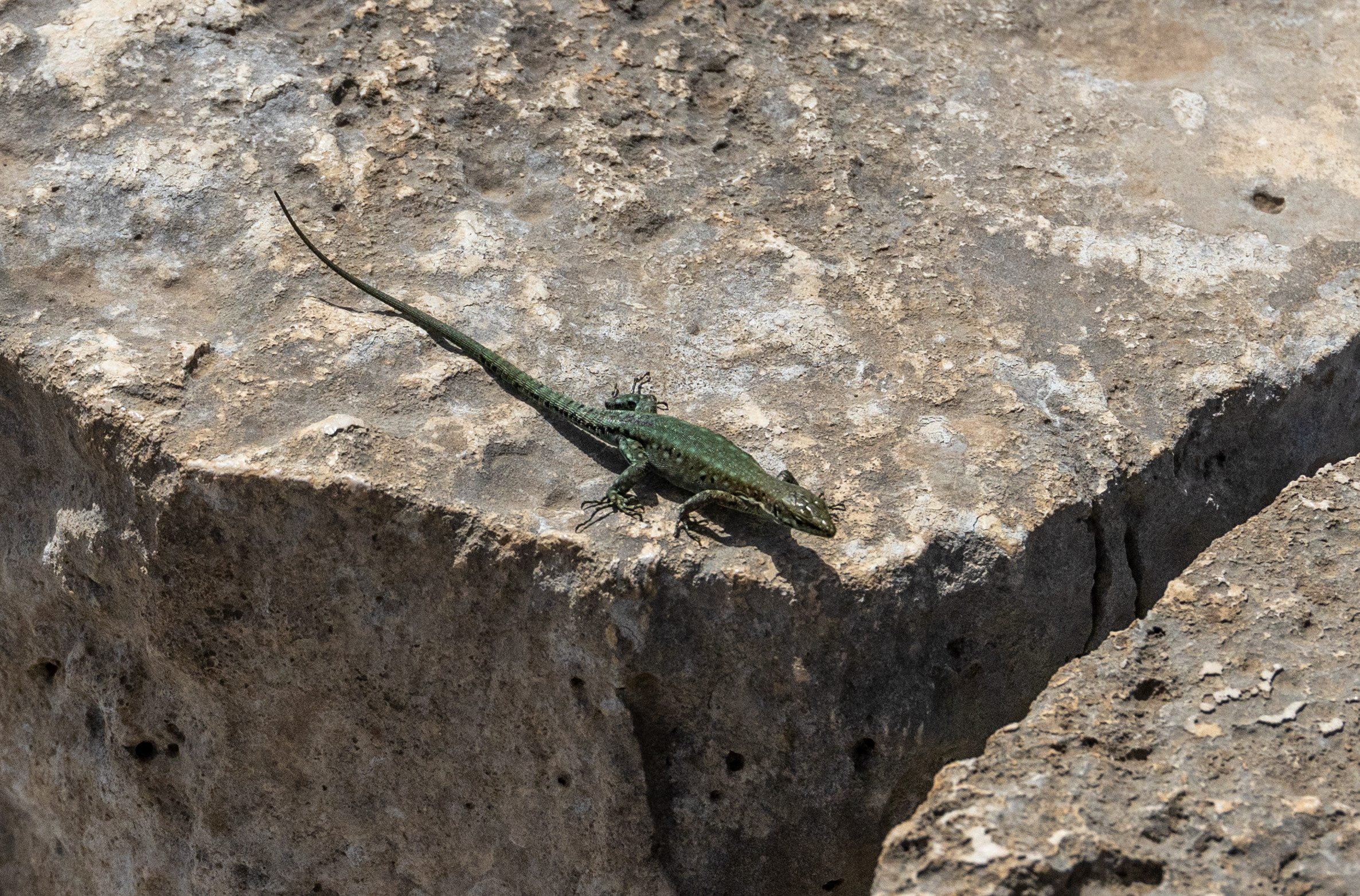 Турция. Olga Serebryannaya Travel Photography