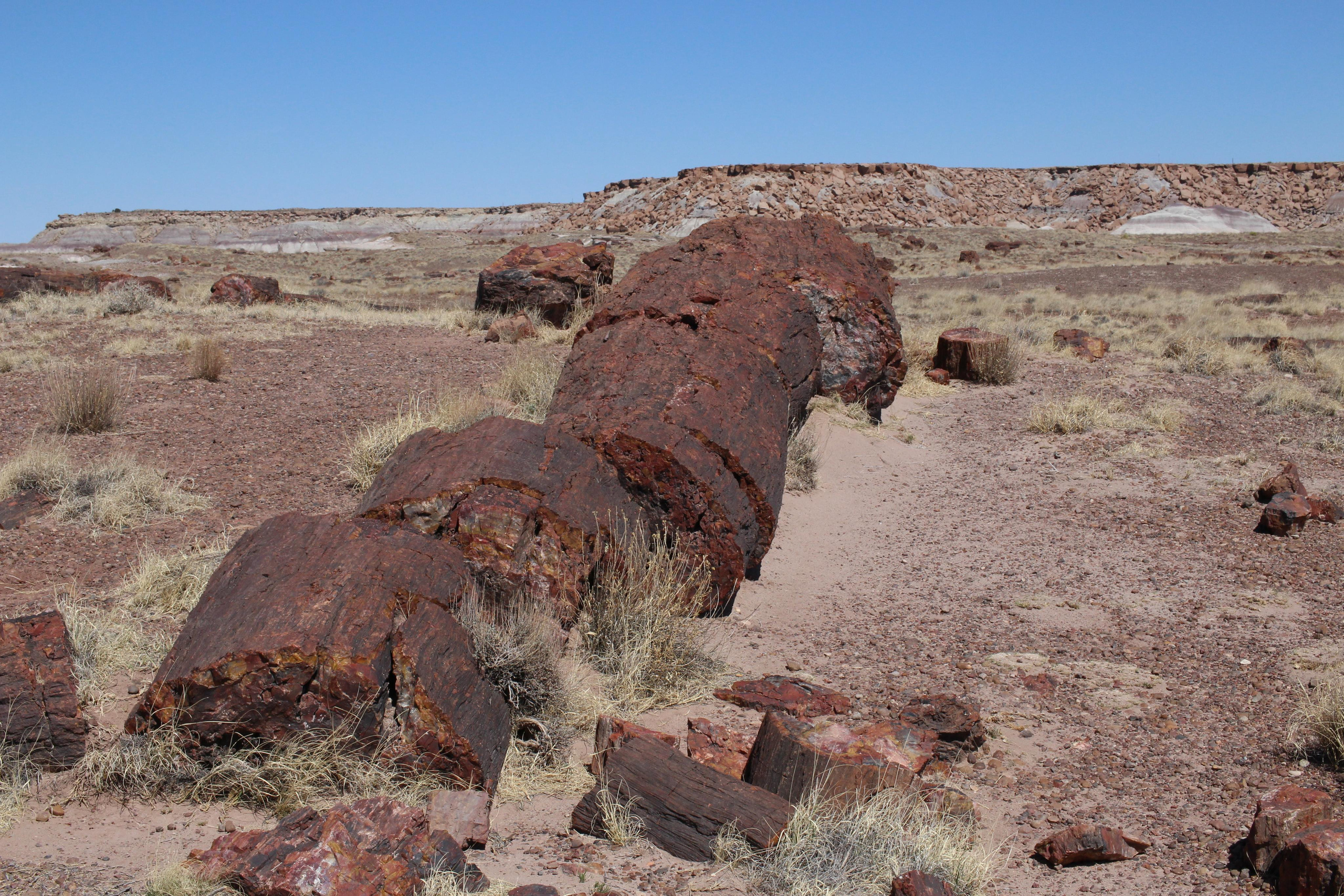Нью Мексико. Olga Serebryannaya Travel Photography