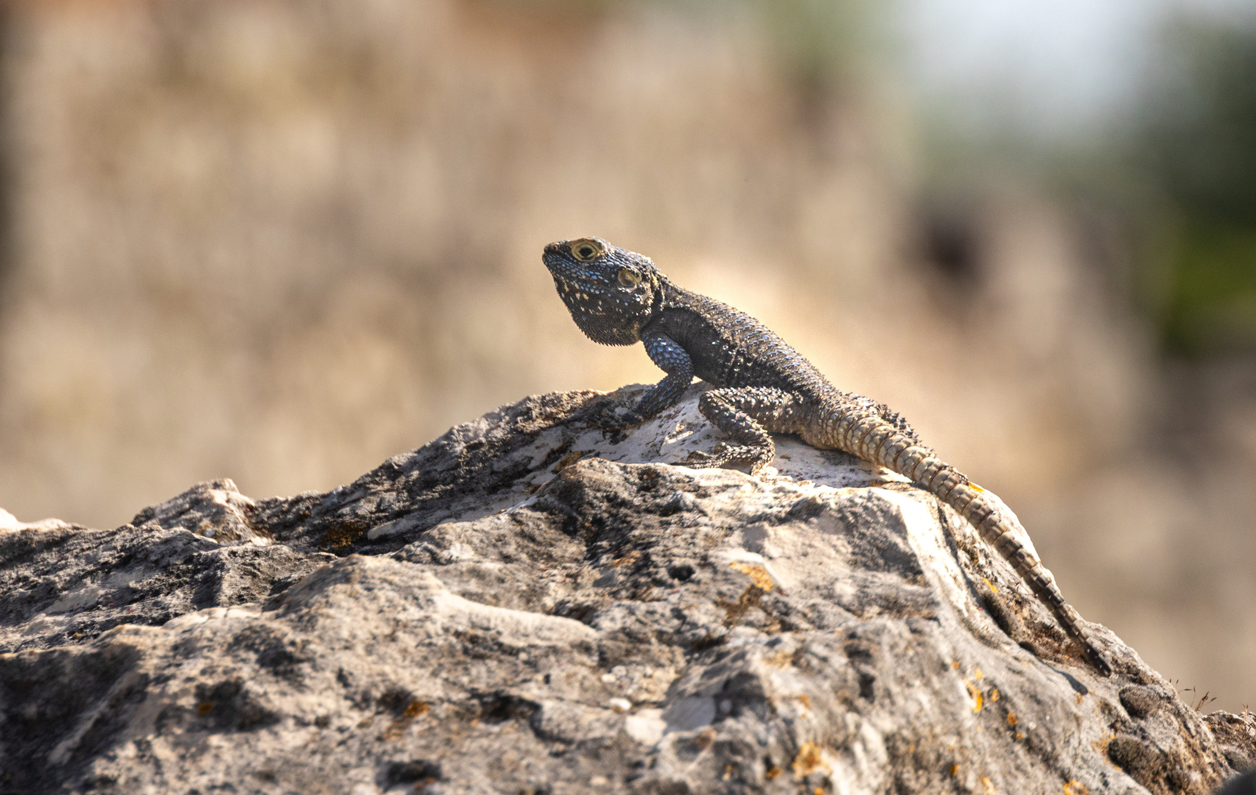 Турция. Olga Serebryannaya Travel Photography