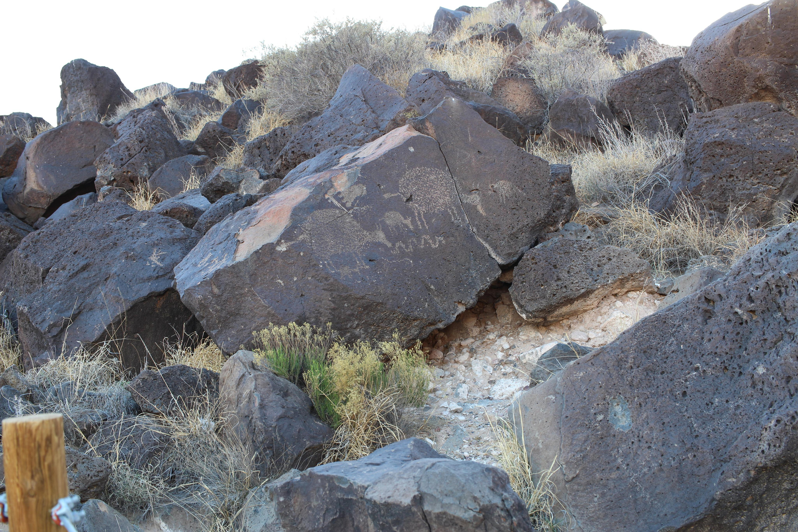 Нью Мексико. Olga Serebryannaya Travel Photography