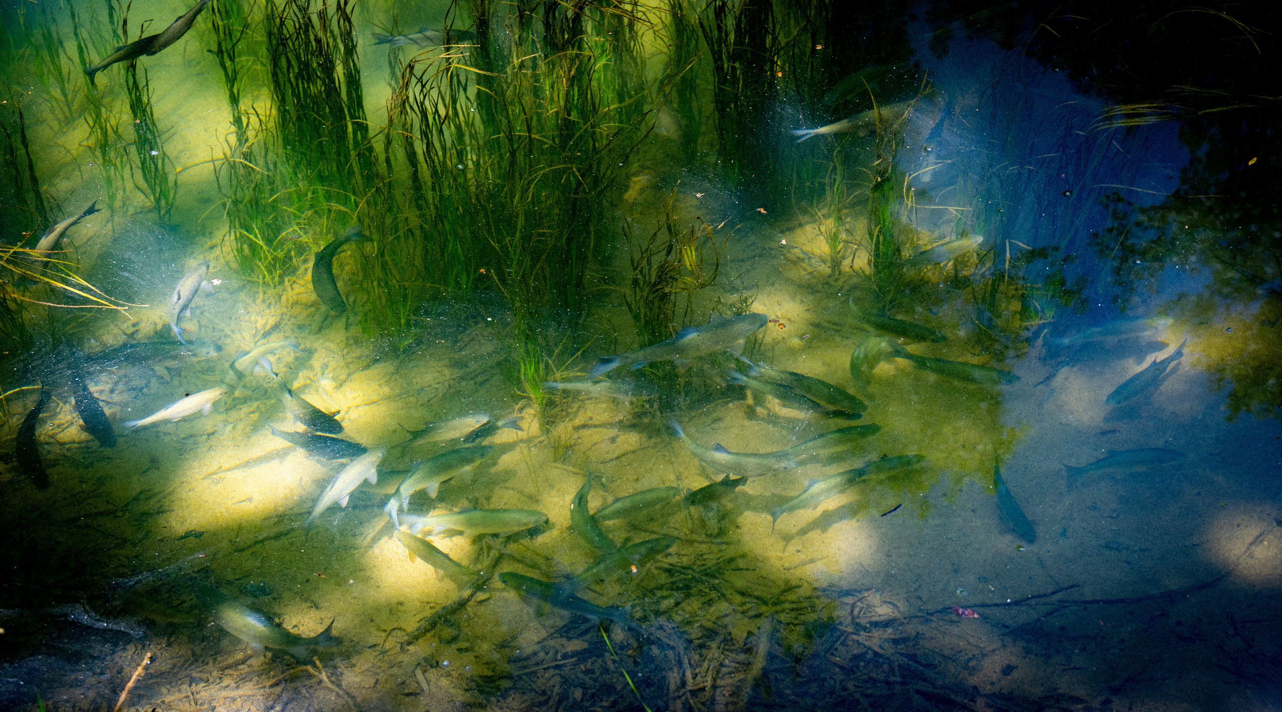 Турция. Olga Serebryannaya Travel Photography