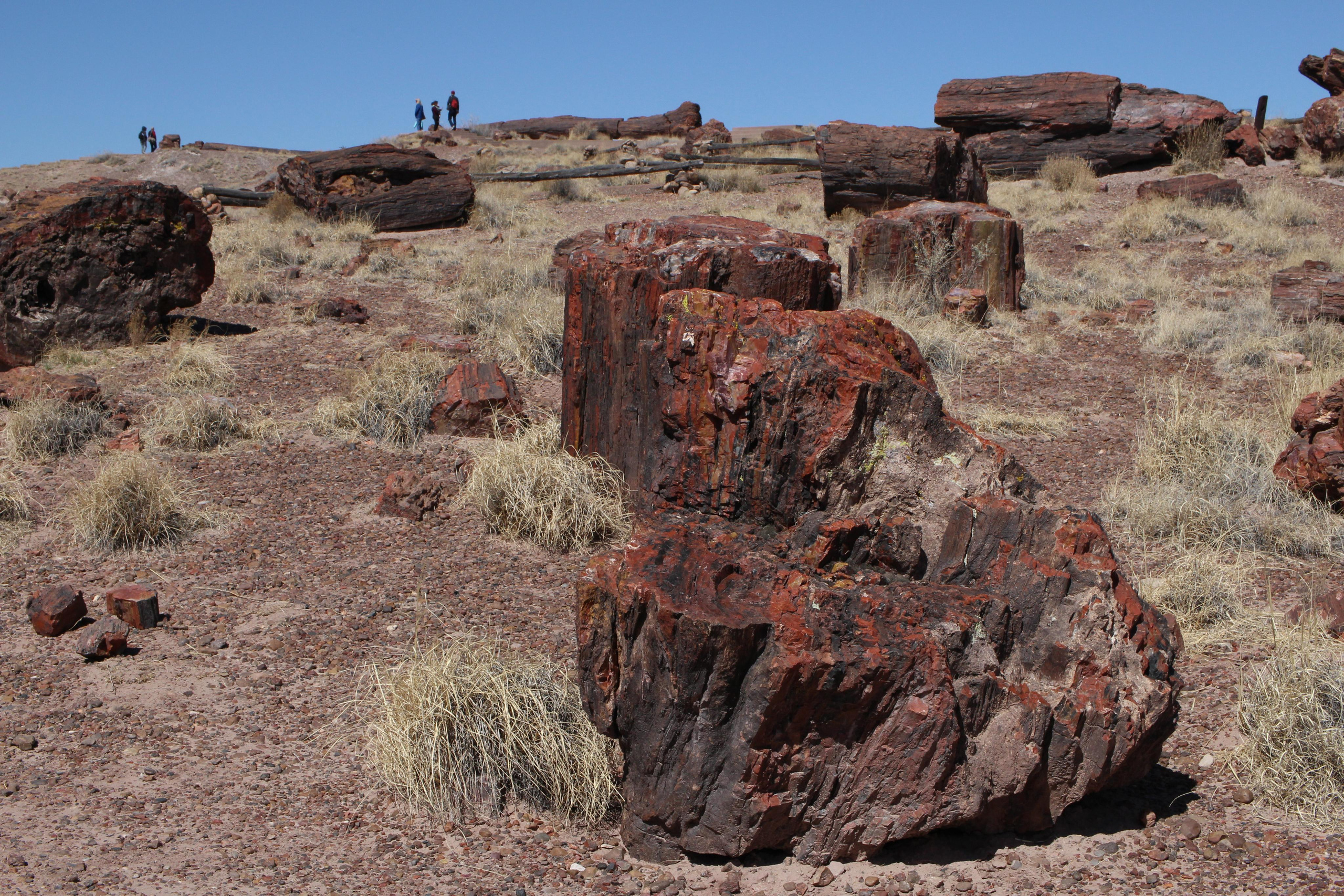Нью Мексико. Olga Serebryannaya Travel Photography