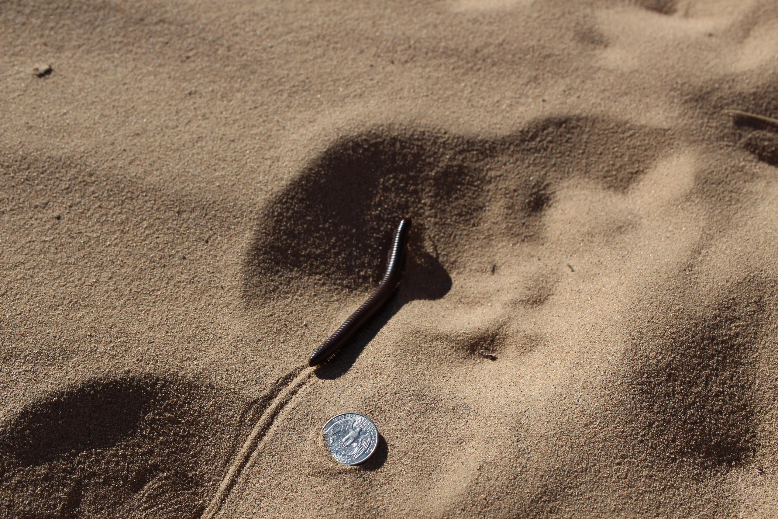 Нью Мексико. Olga Serebryannaya Travel Photography