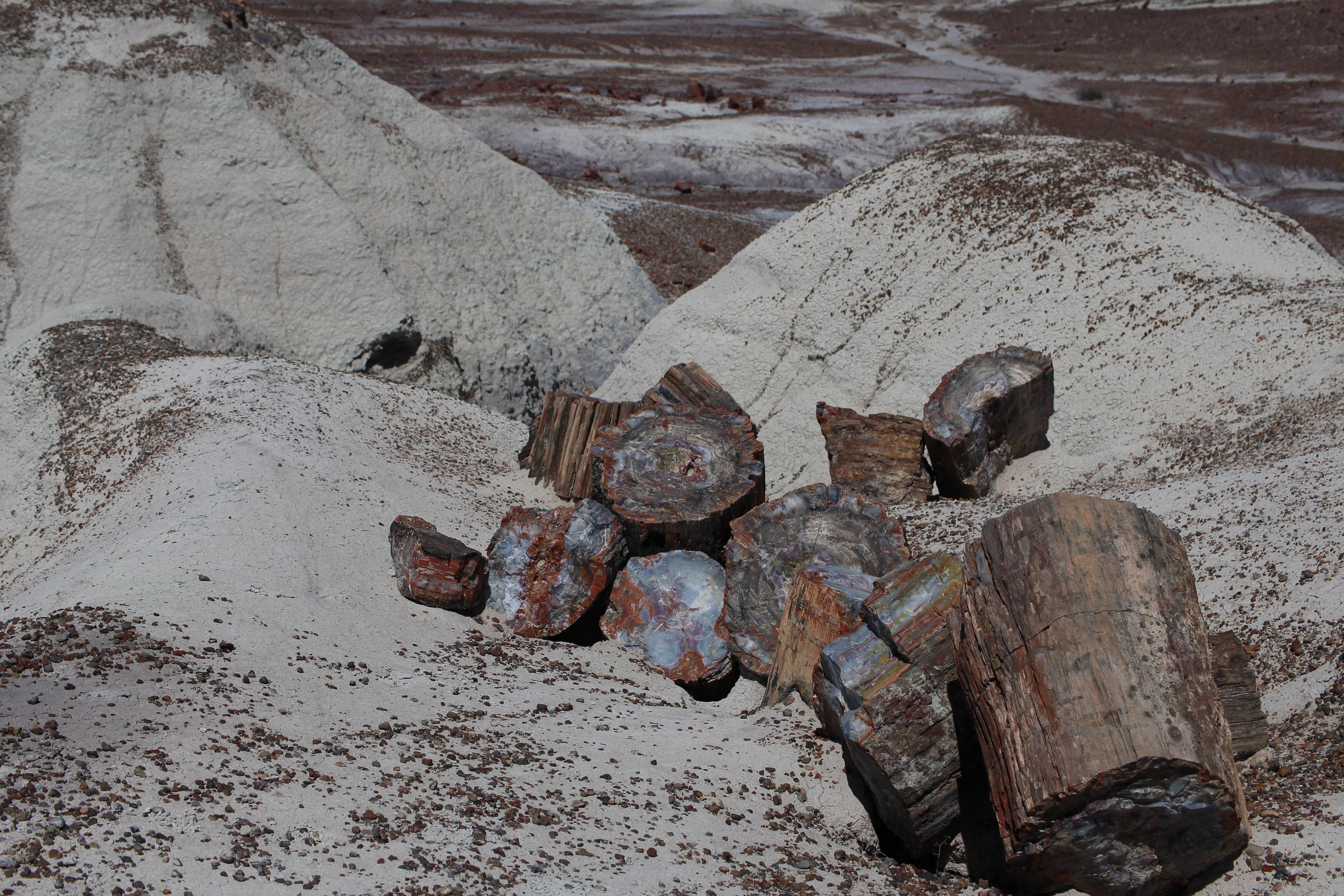 Нью Мексико. Olga Serebryannaya Travel Photography