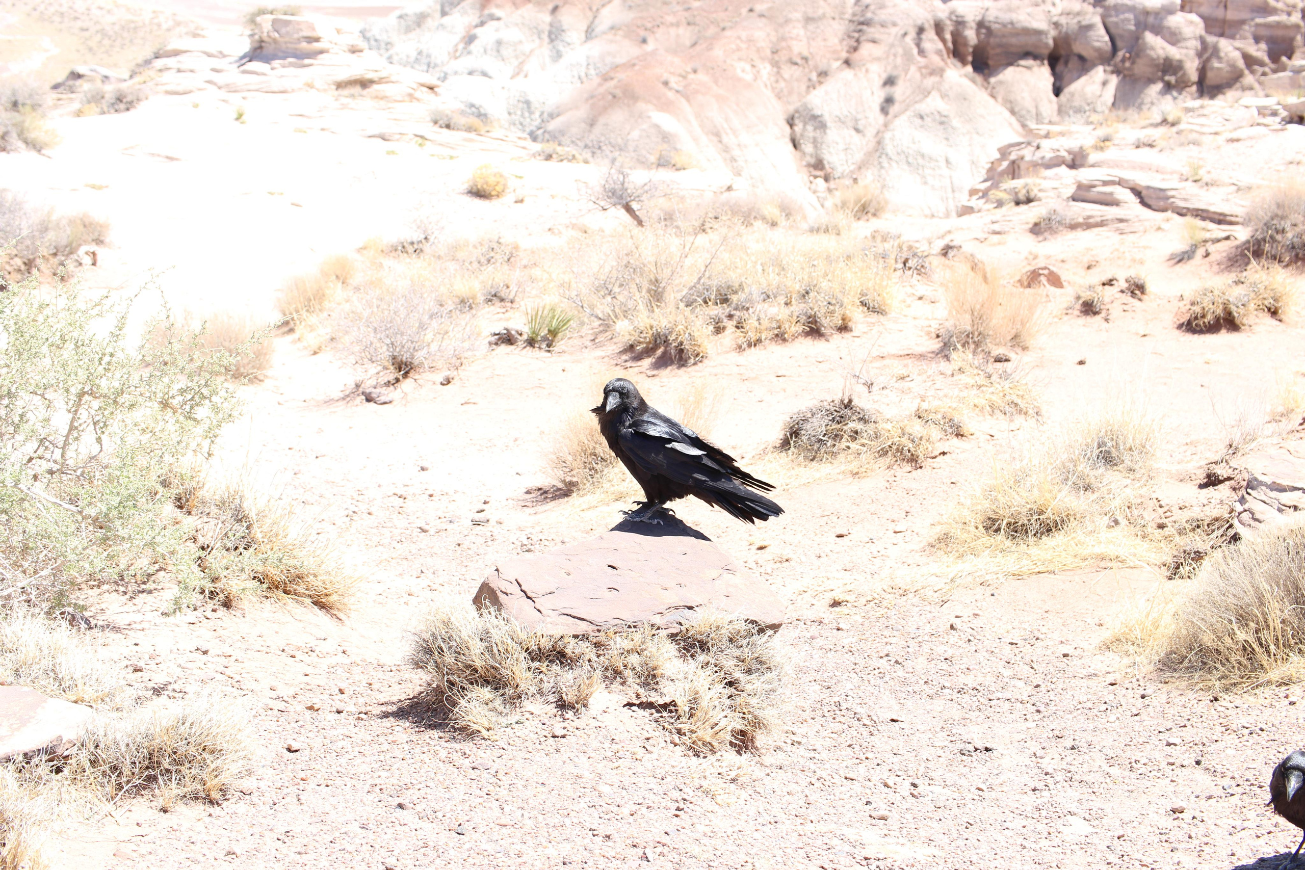 Нью Мексико. Olga Serebryannaya Travel Photography