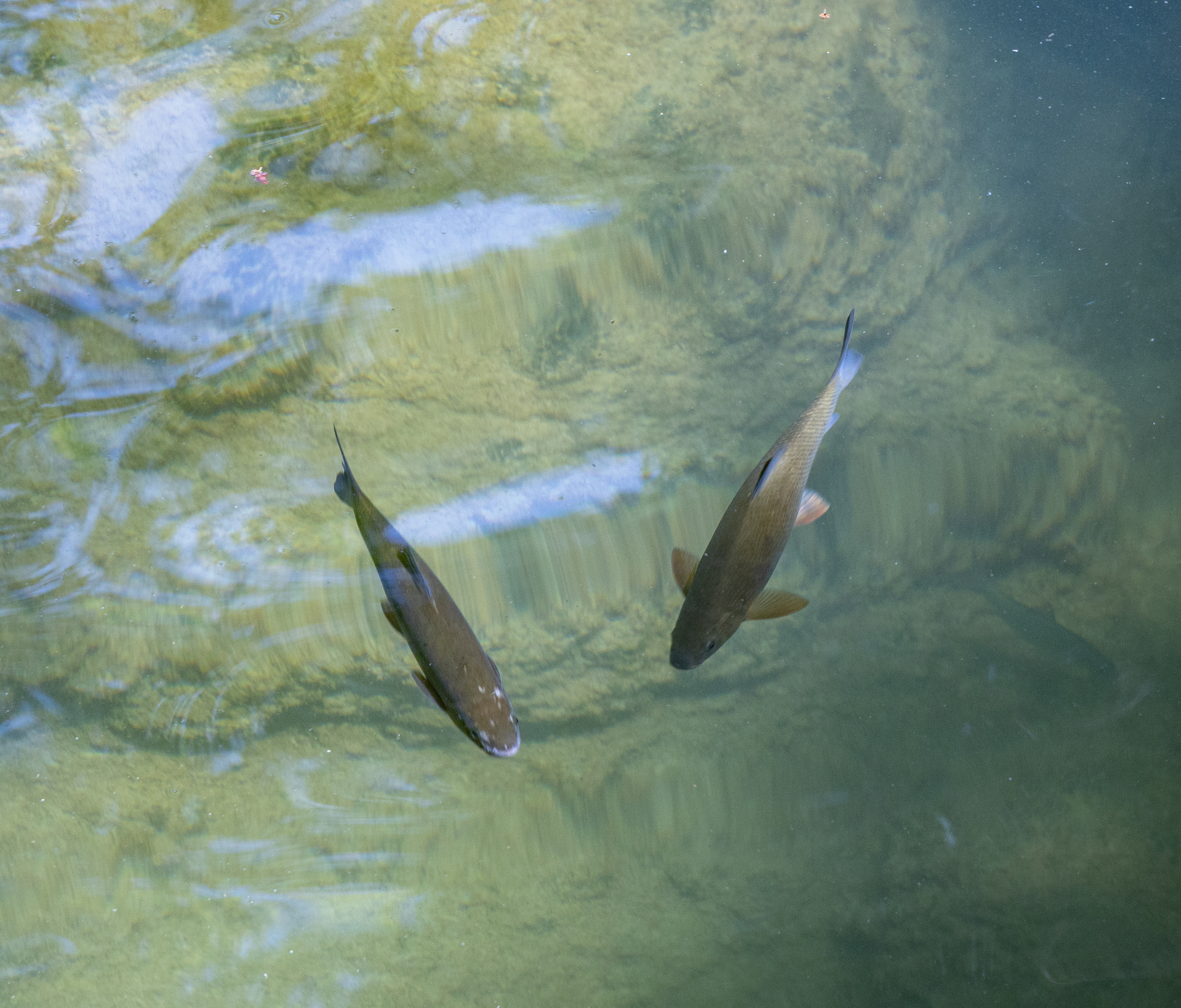 Турция. Olga Serebryannaya Travel Photography