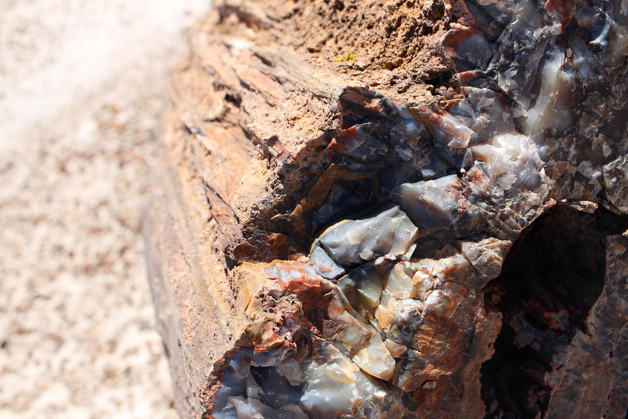 Нью Мексико. Olga Serebryannaya Travel Photography