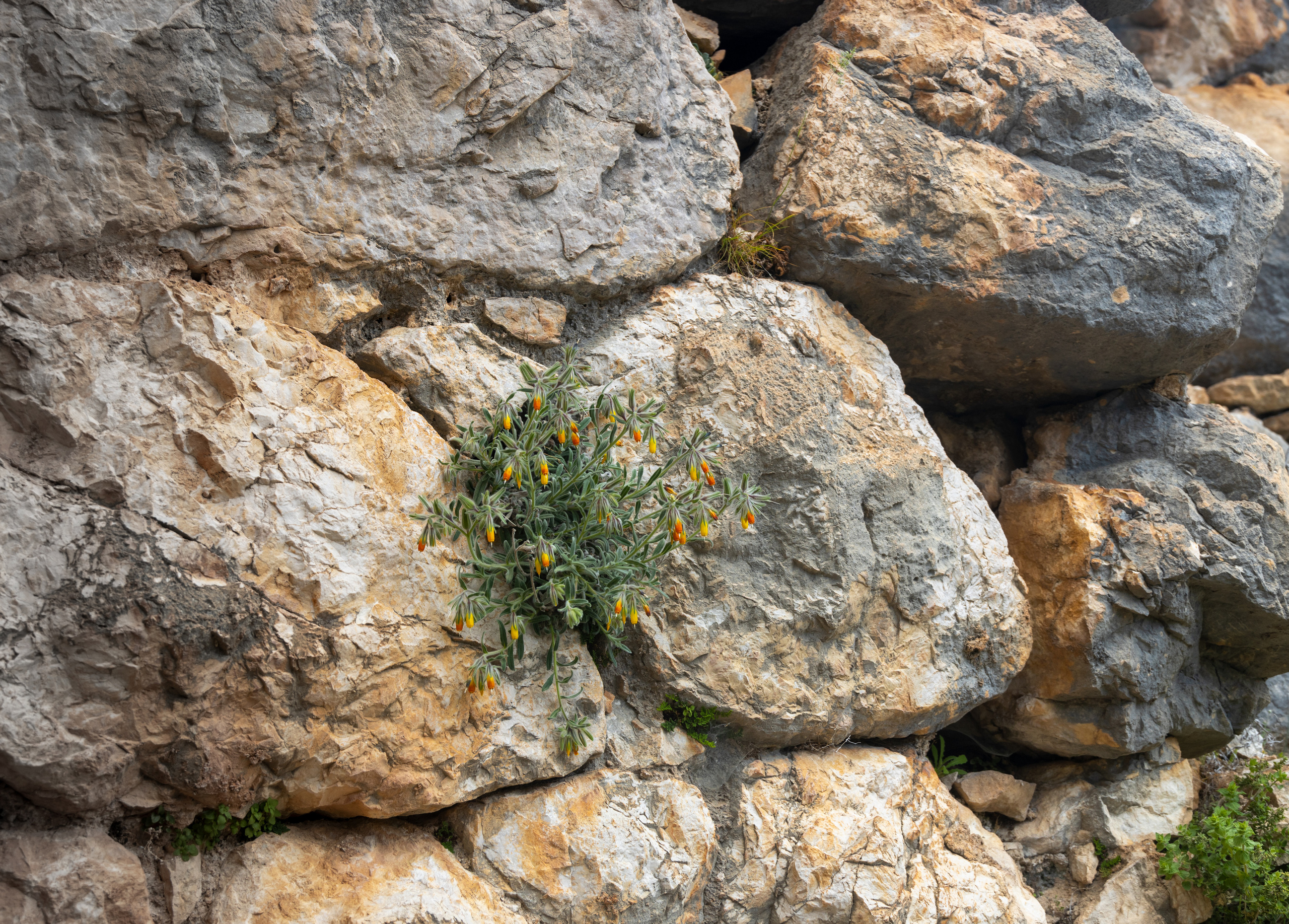 Турция. Olga Serebryannaya Travel Photography