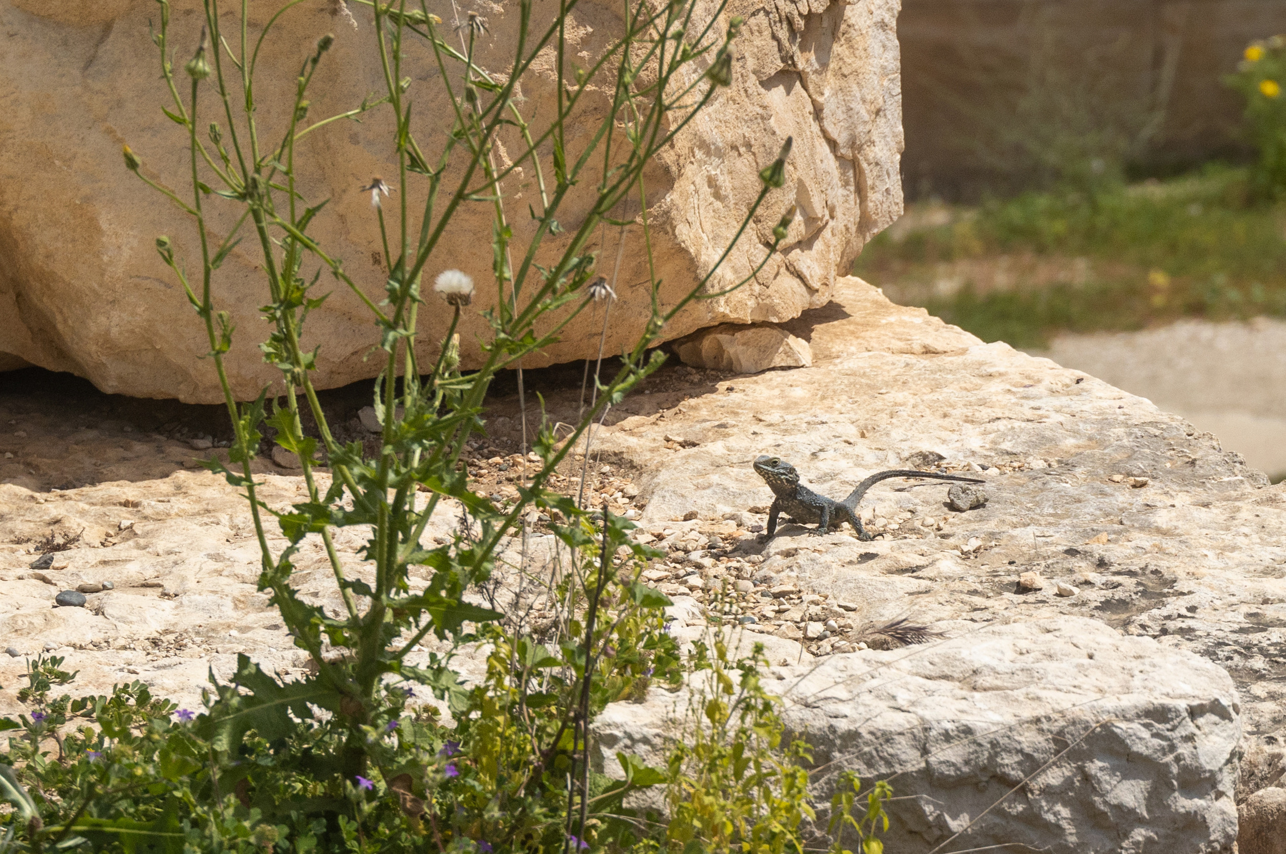 Турция. Olga Serebryannaya Travel Photography