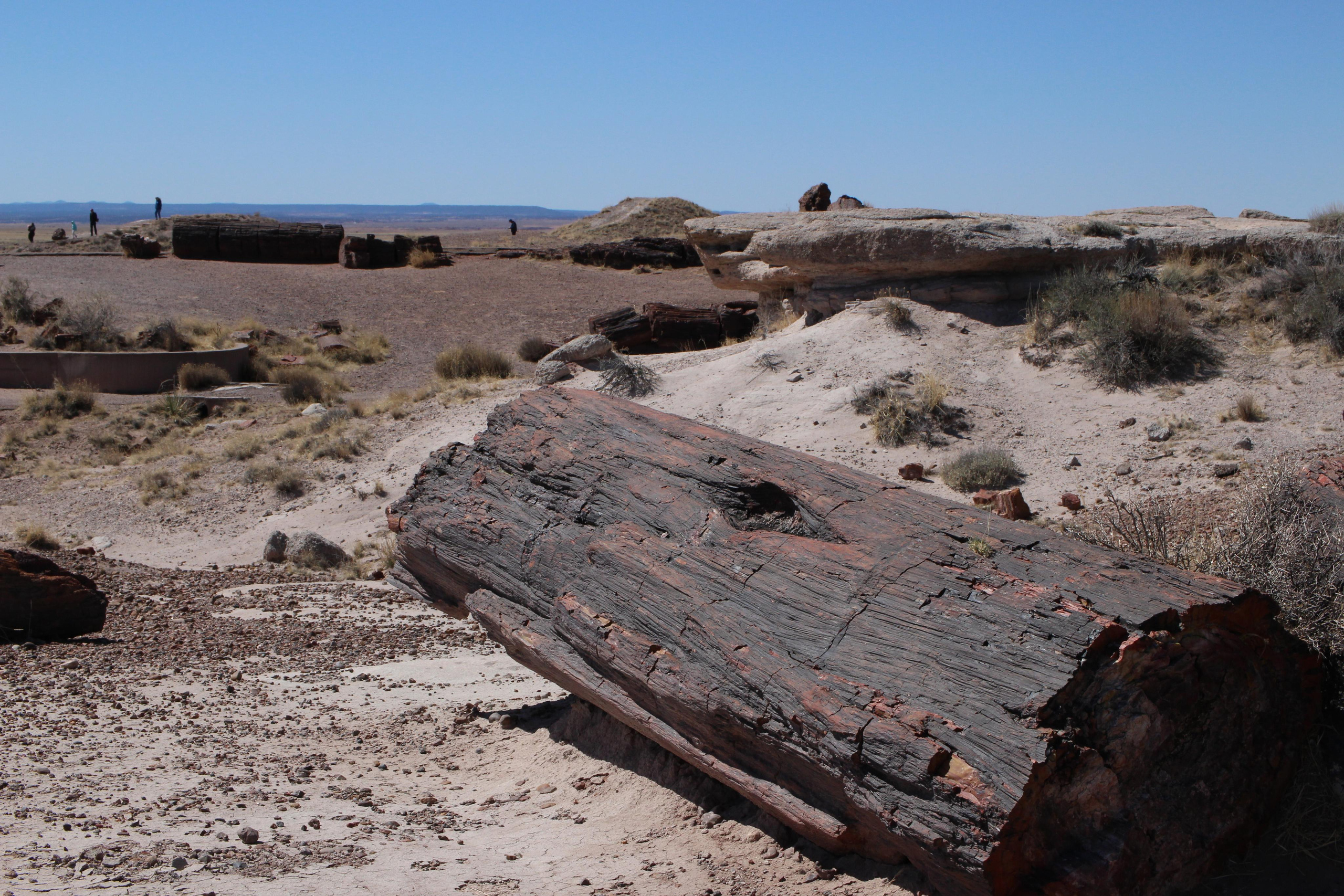 Нью Мексико. Olga Serebryannaya Travel Photography