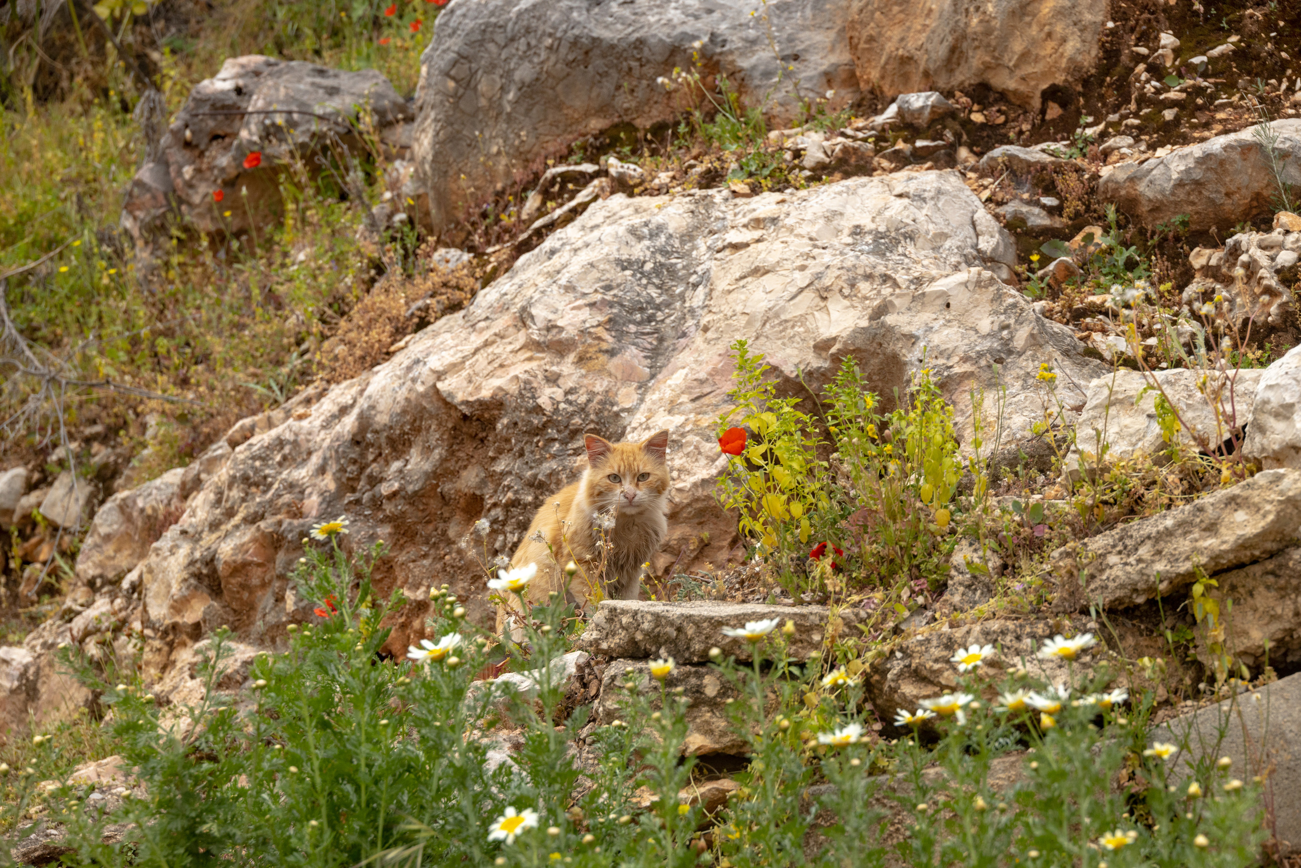 Турция. Olga Serebryannaya Travel Photography