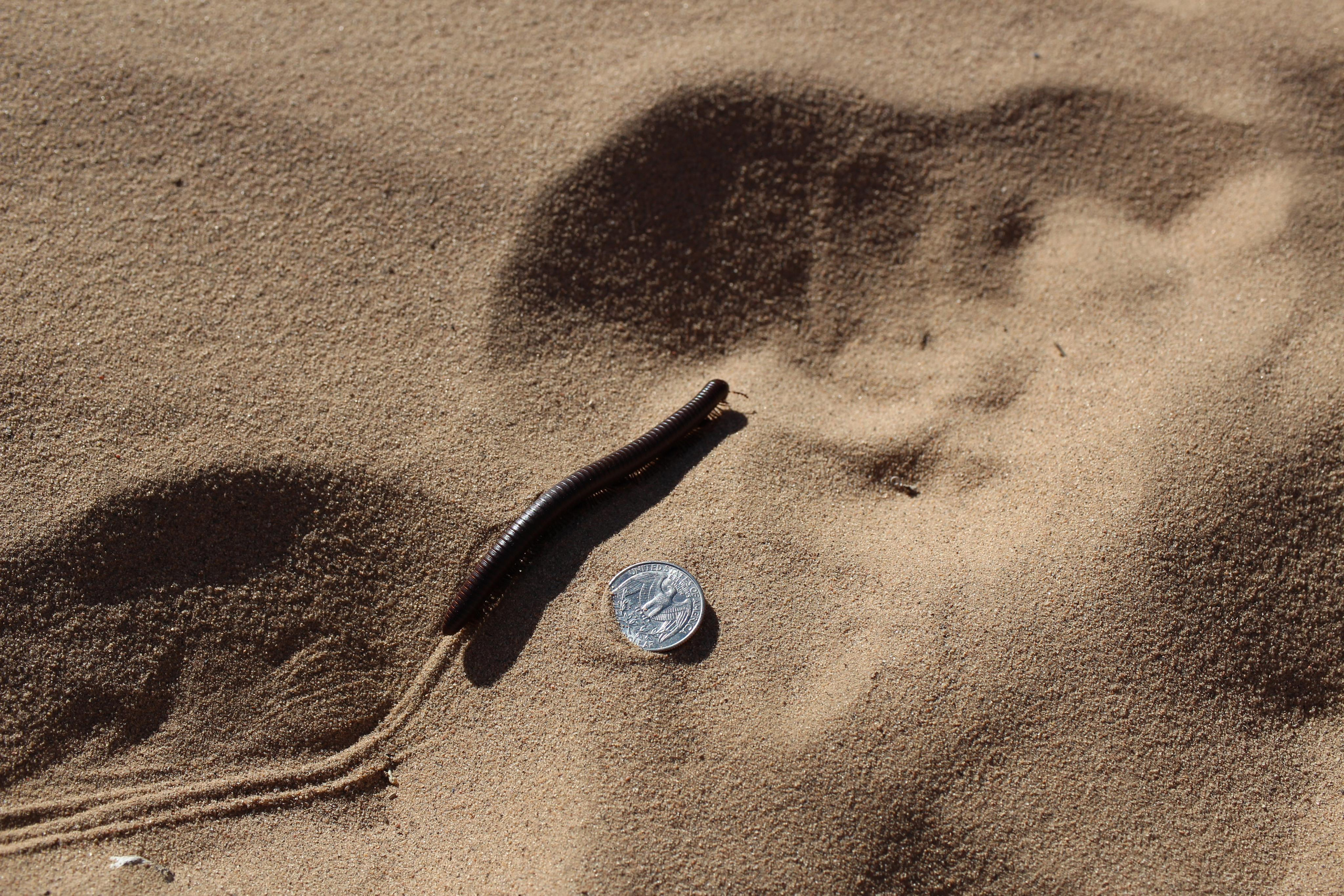 Нью Мексико. Olga Serebryannaya Travel Photography