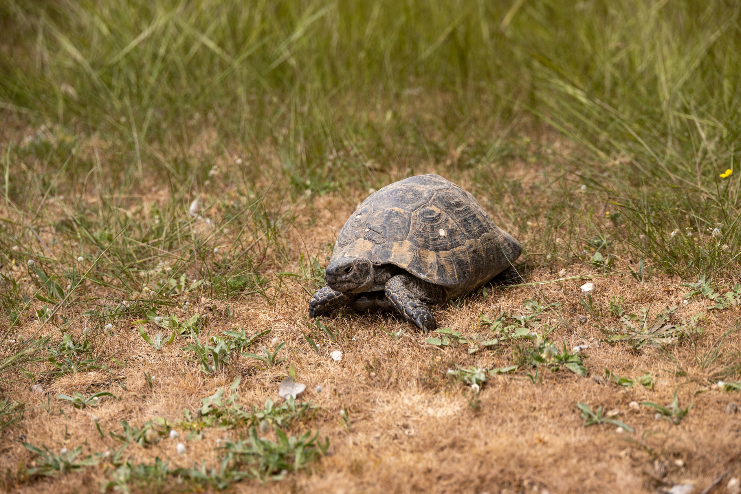Турция. Olga Serebryannaya Travel Photography