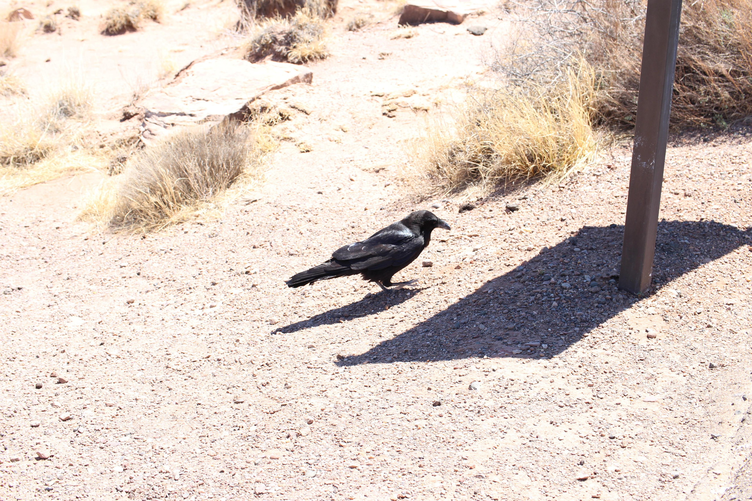 Нью Мексико. Olga Serebryannaya Travel Photography