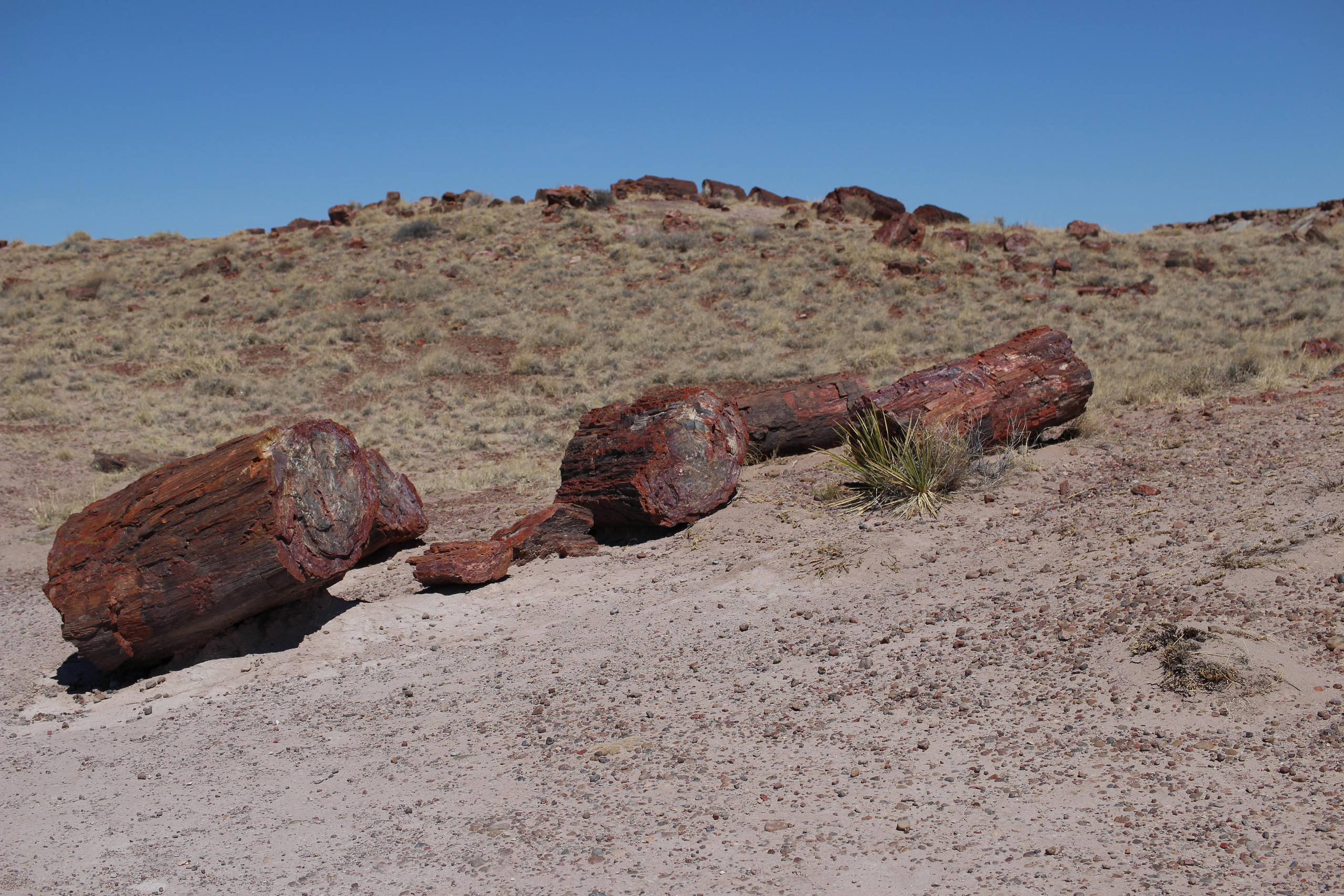 Нью Мексико. Olga Serebryannaya Travel Photography
