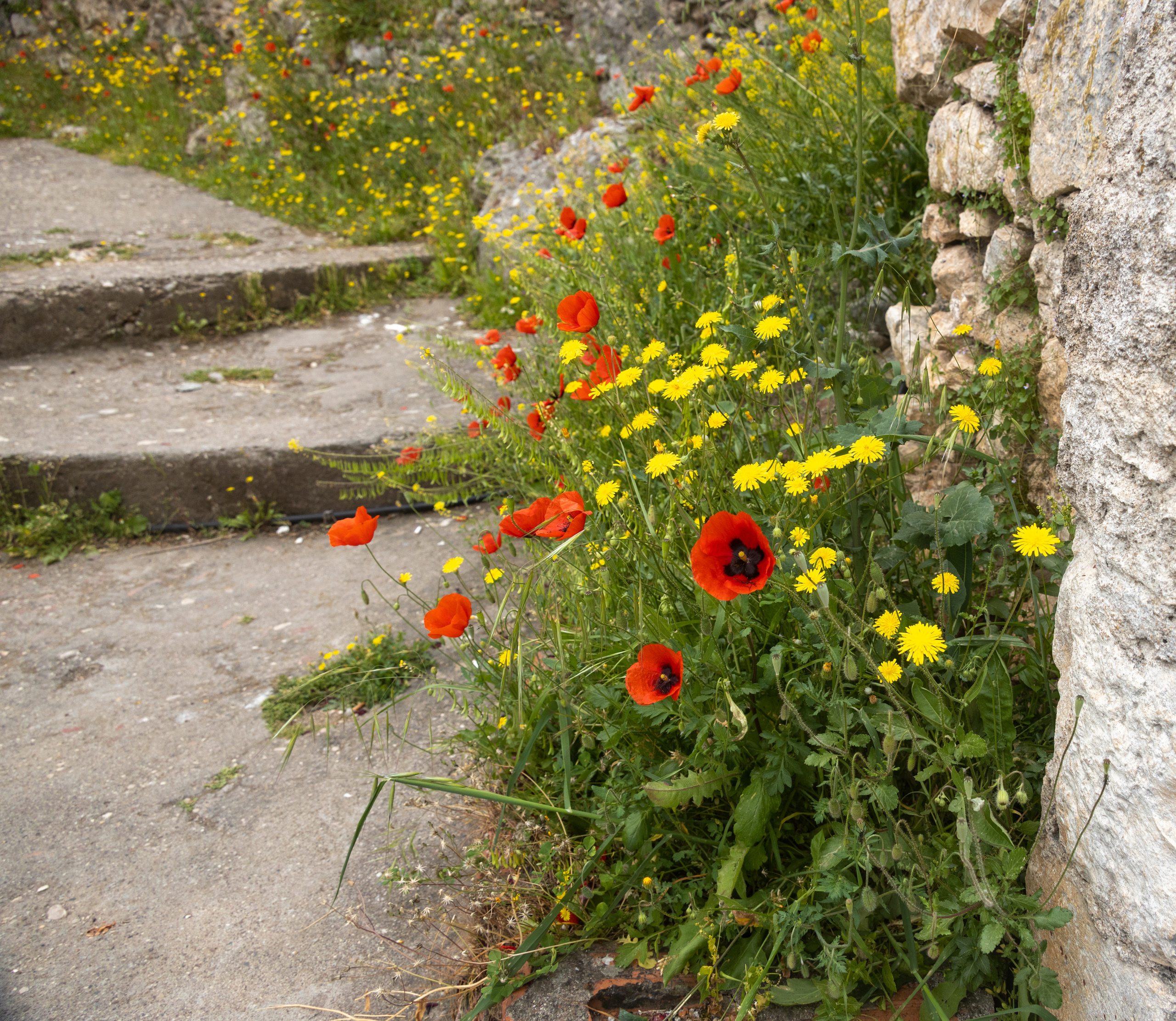 Турция. Olga Serebryannaya Travel Photography