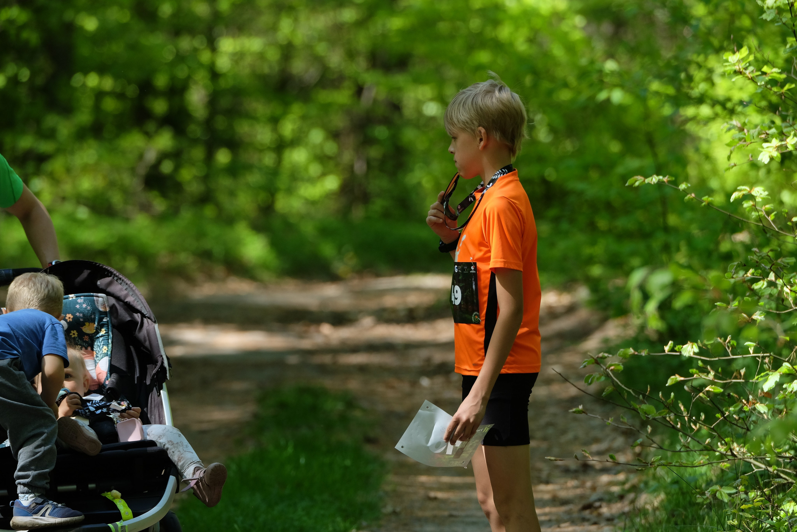 Aleksandryjska Piątka po lesie. Main