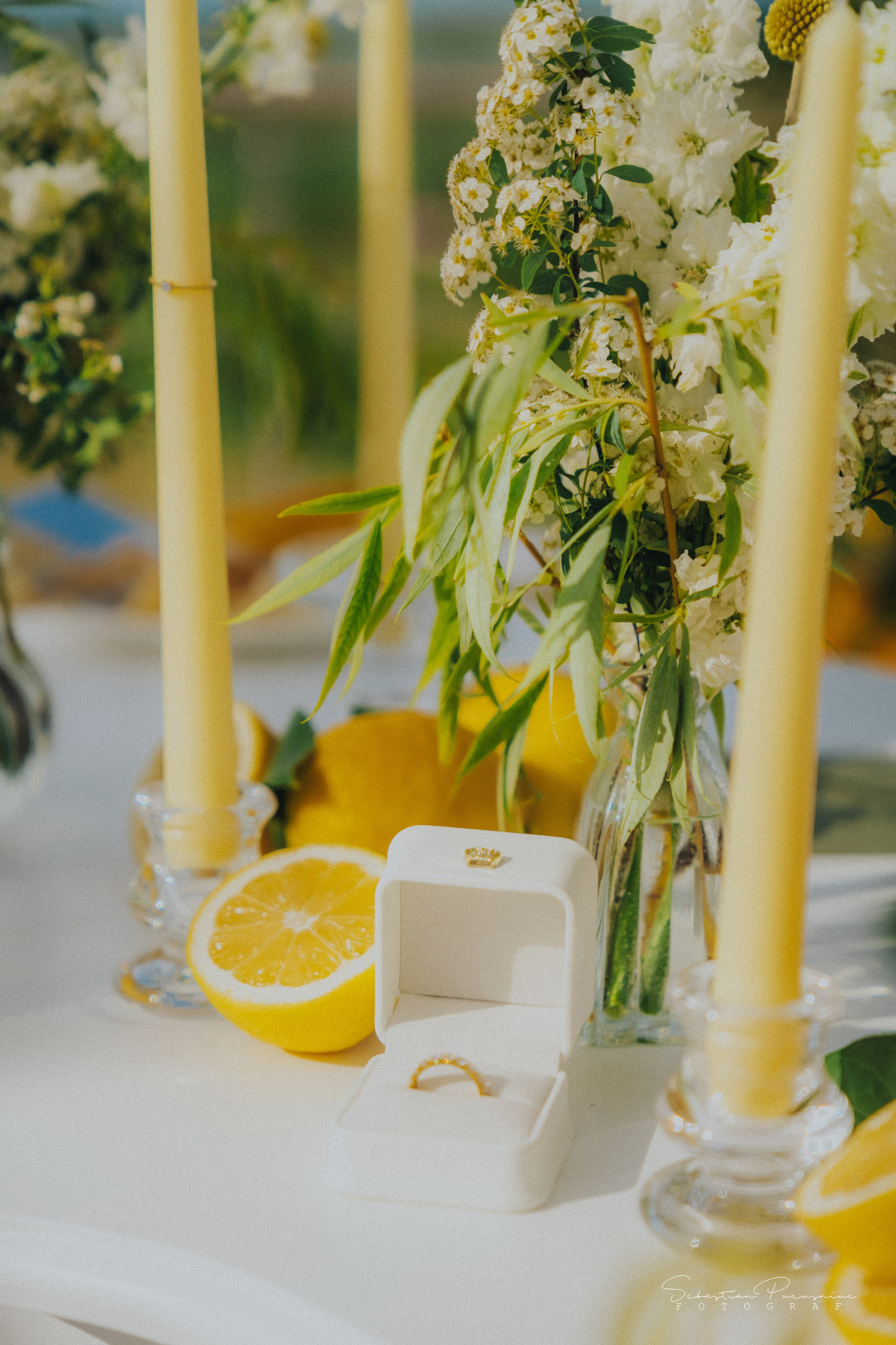 Love & Lemons. Sebastian Purusniuc Fotograf - Iasi