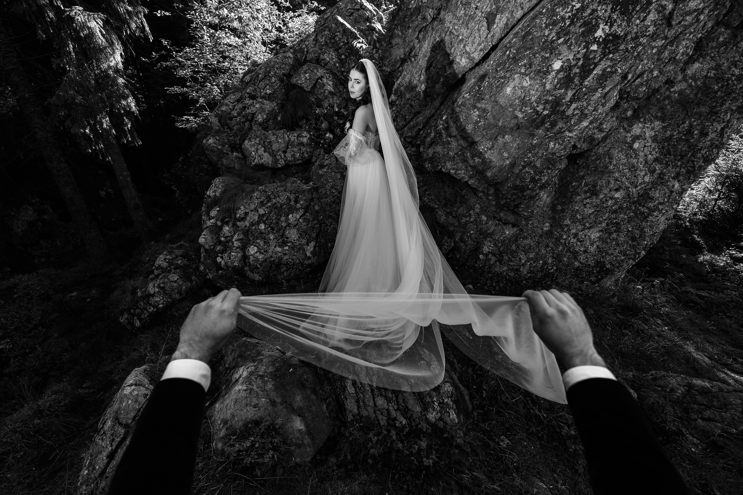 R & C. Spoiala Brothers — Wedding Films & Photography