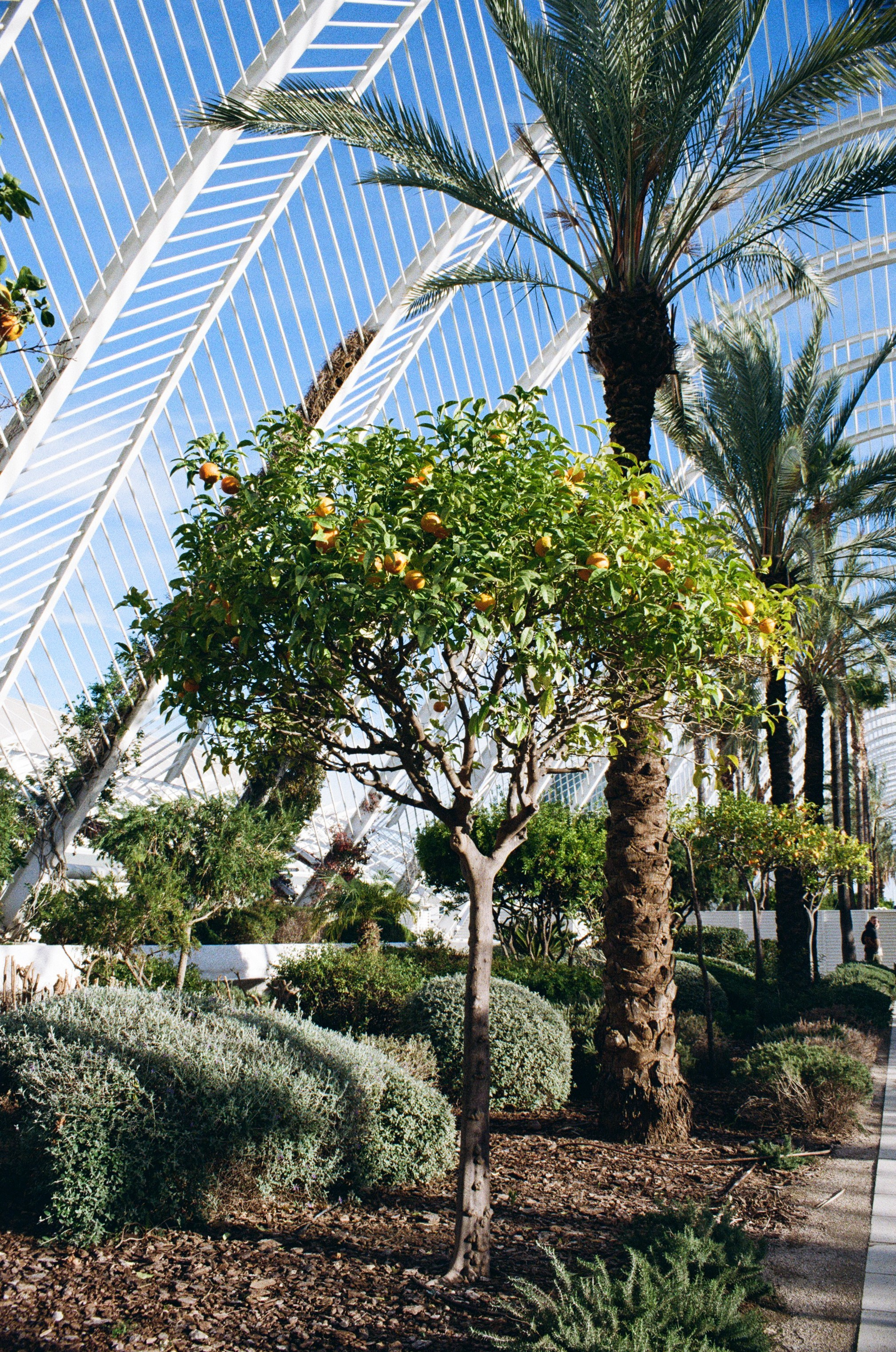 Valencia — Ein fotografischer Spaziergang durch Licht und Weite. Hochzeitsgeschichten – Professionelle Hochzeitsfotografie & Videografie in Deutschland, Italien, Spanien und ganz Europa