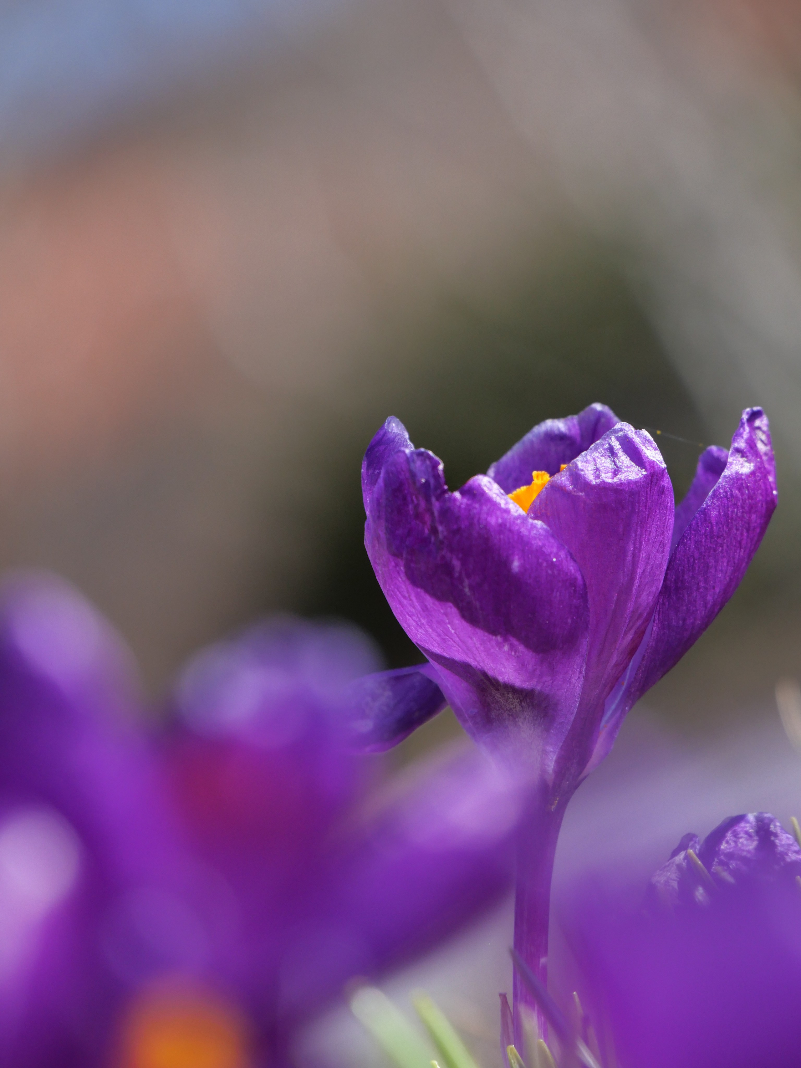 Portfolio. Photographer in Sotenäs municipality. Fotograf i Sotenäs kommun