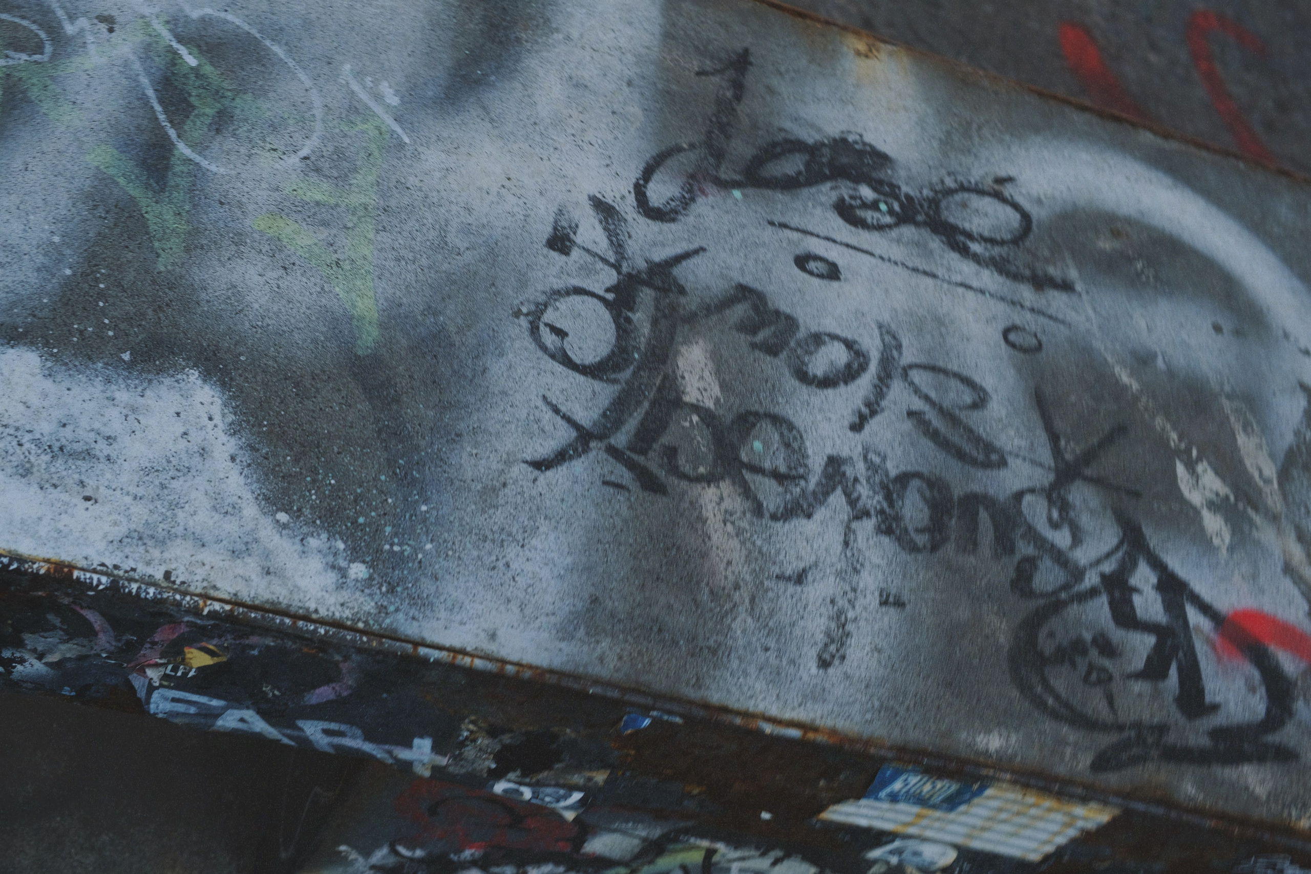 Fabrizio. New York Photographer Sveta Zemskova, NYC Photo