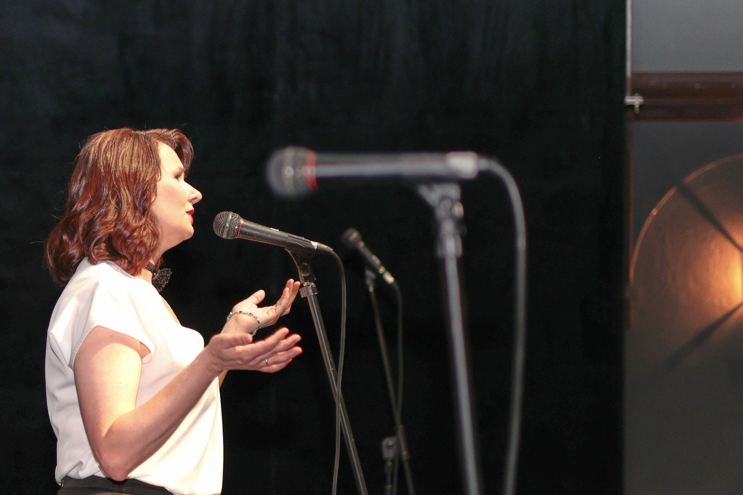 8 journalistic charity concert in Kyiv. Photographer, photo artist Alena Novgorodtseva