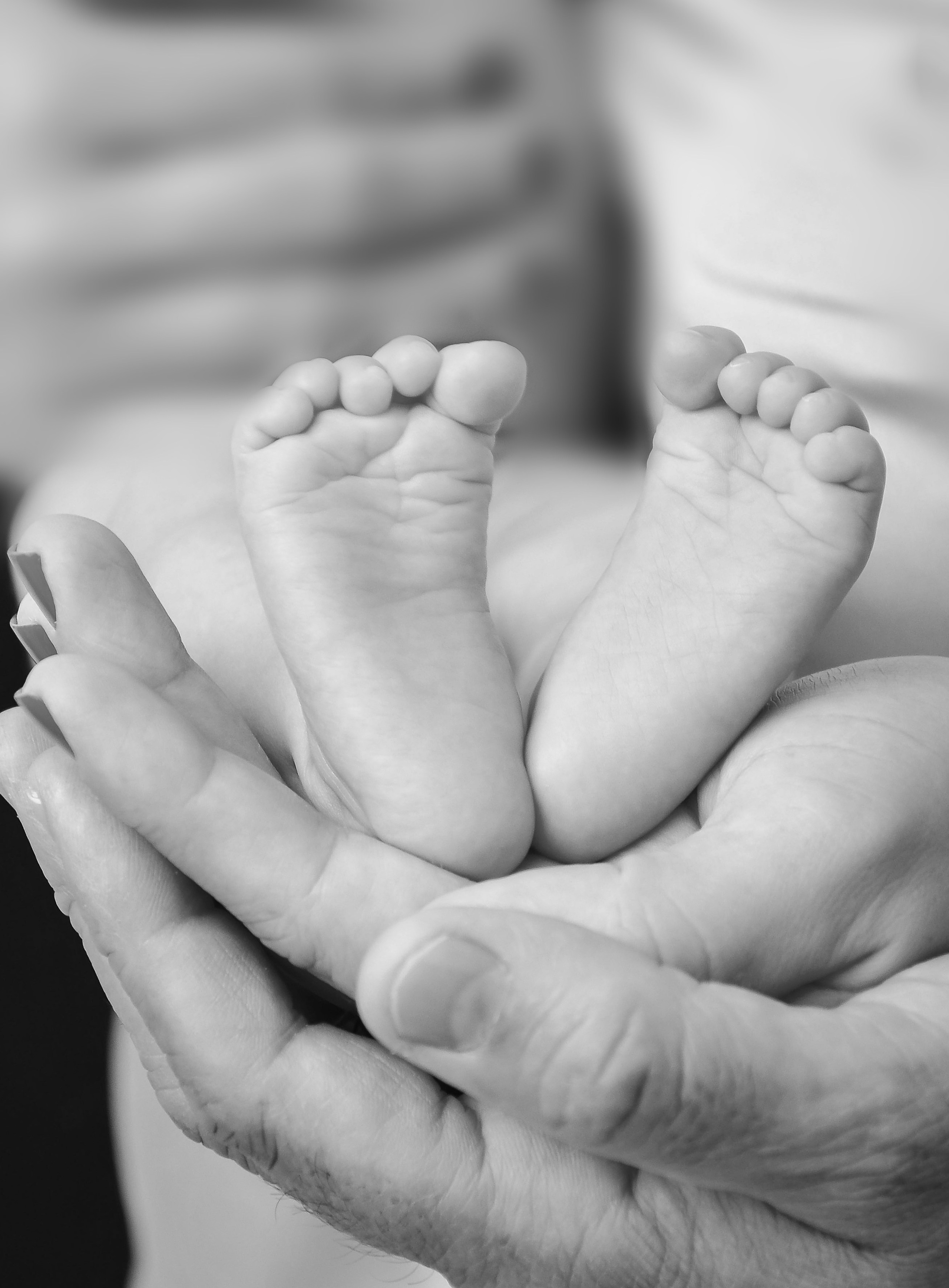 Newborn Estúdio. Estúdio Gustavo Bueno