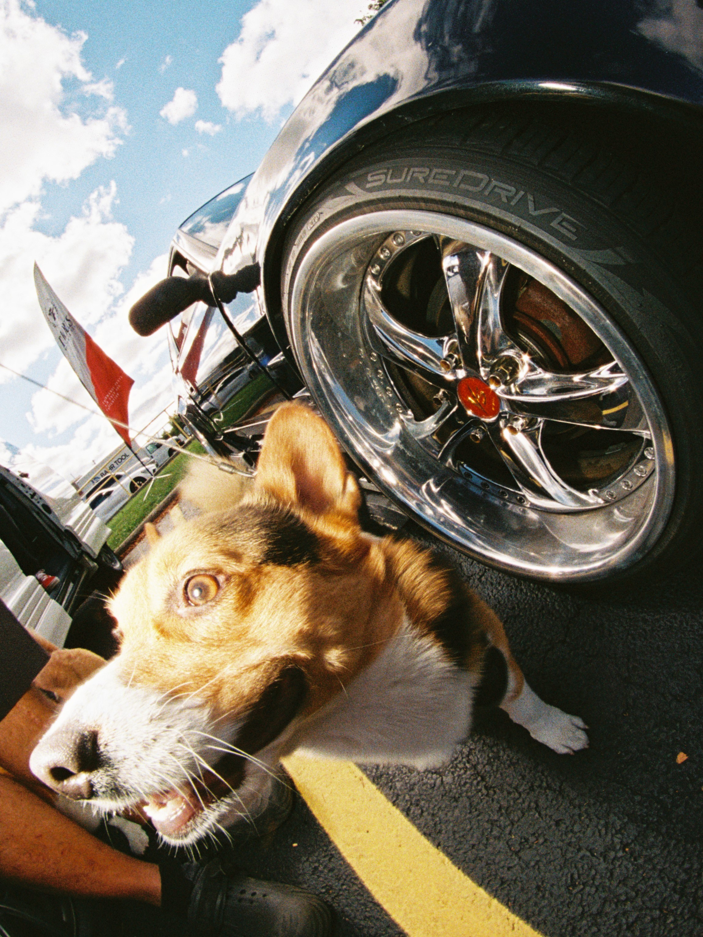 STREET AND LIFESTYLE. 35mm Photography by Brad Zgonena based in Chicago, IL