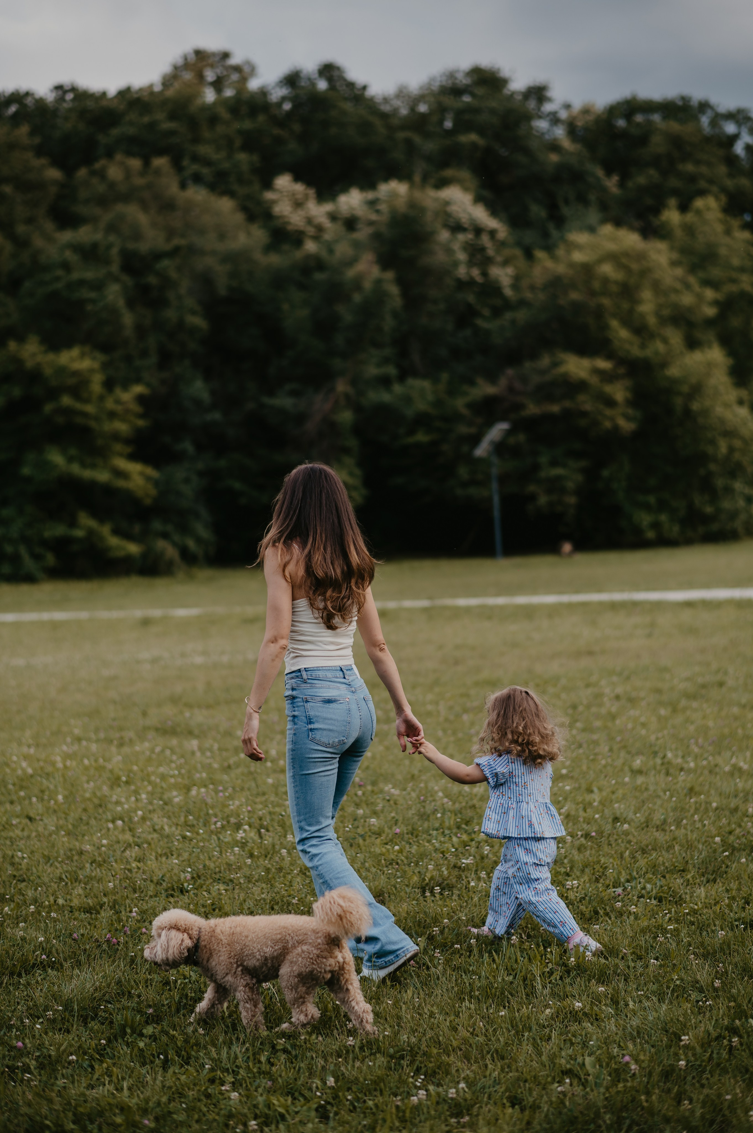 Sremska Kamenica. Ana Sladojevic