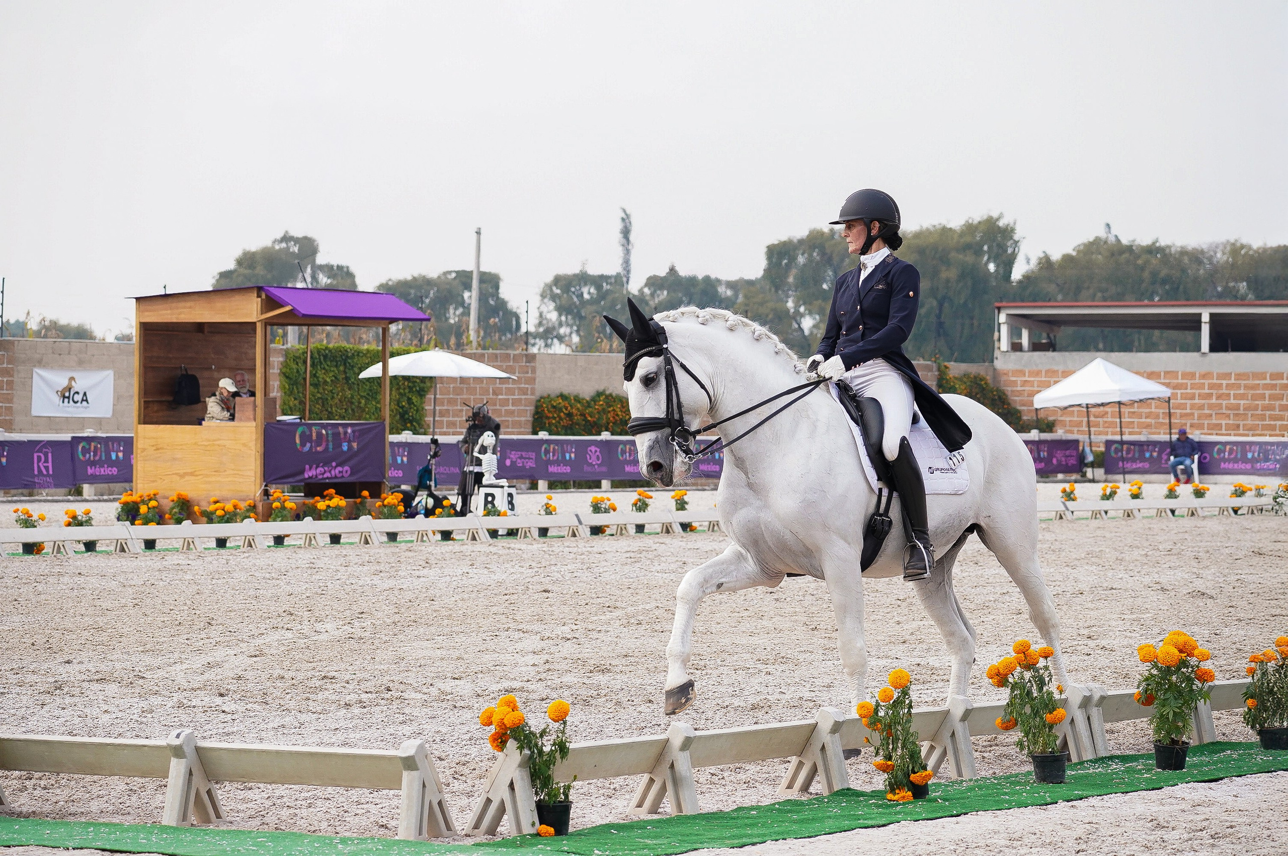 Sport events. Catrina Frolova photography